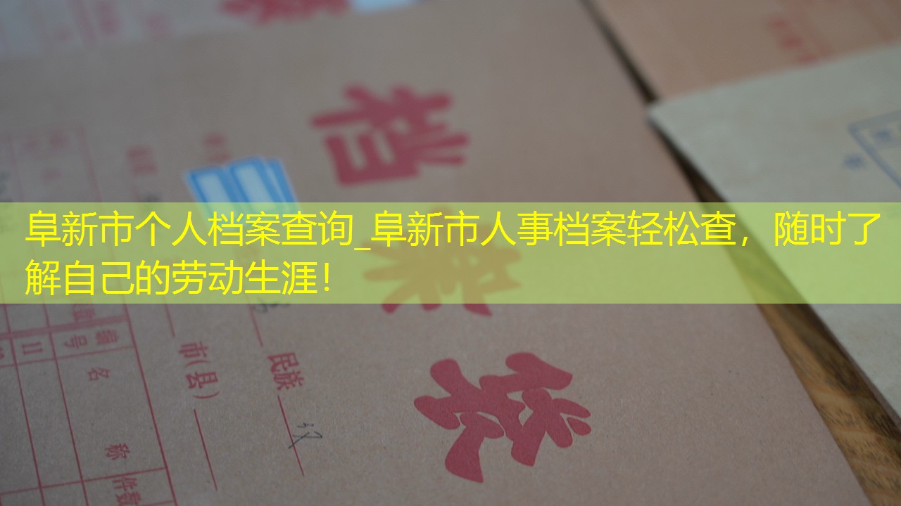 档案查询
