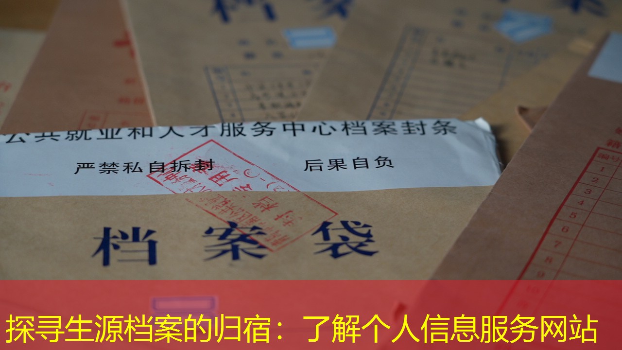 档案查询