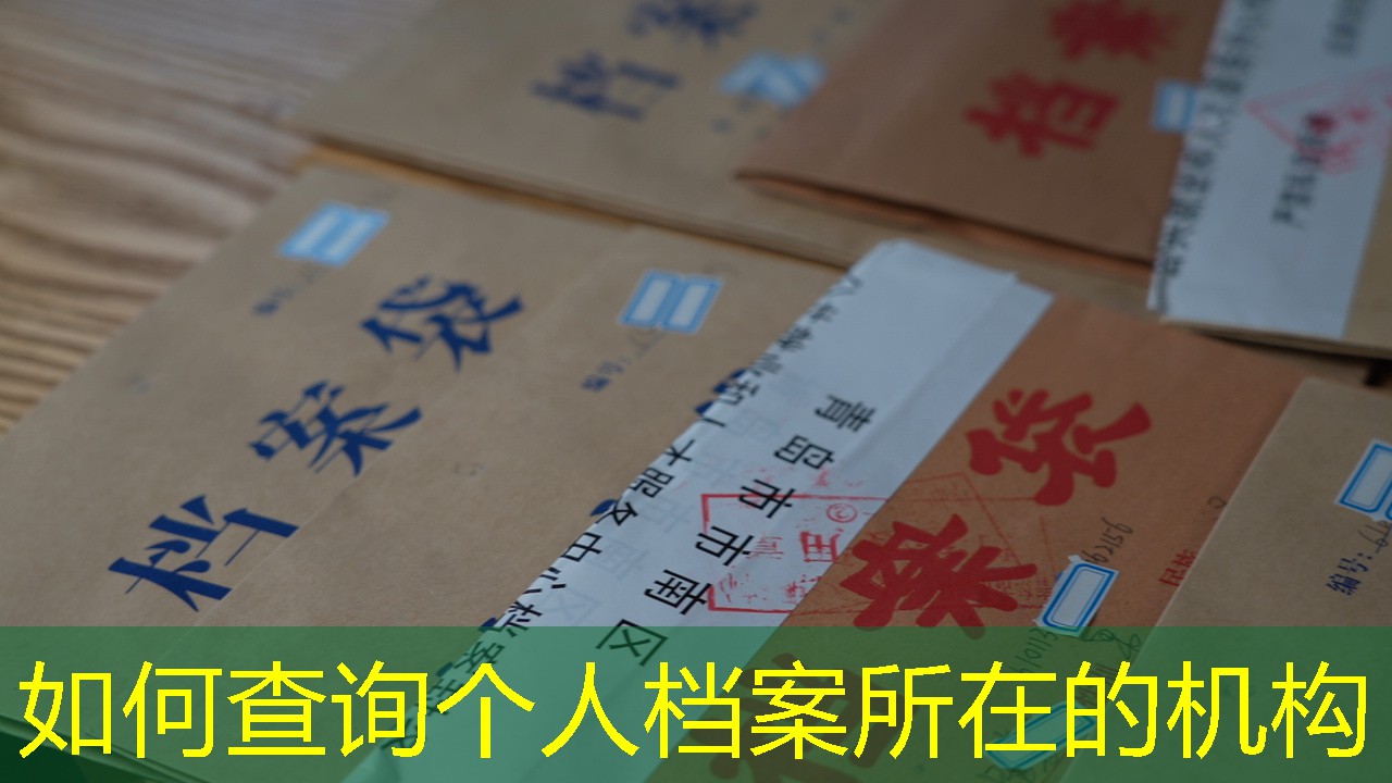 档案查询