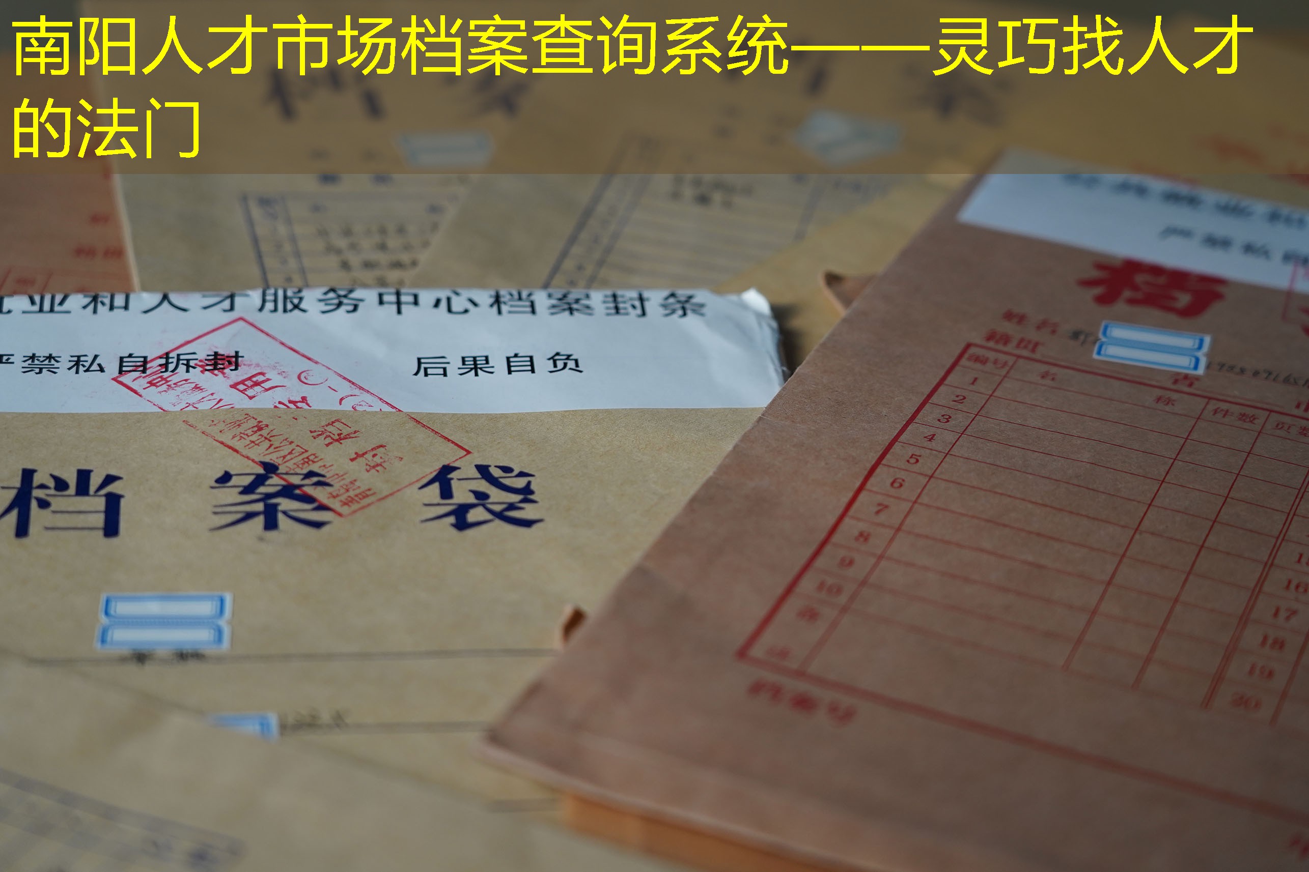 档案查询