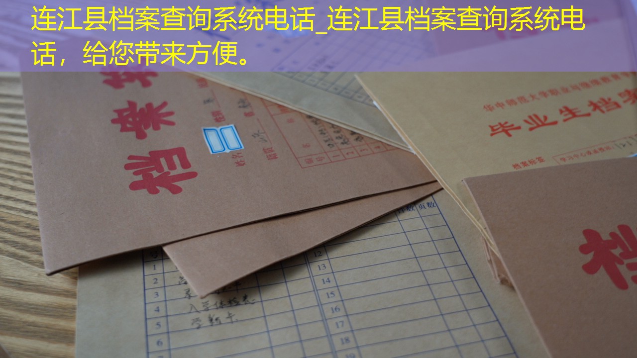 档案查询
