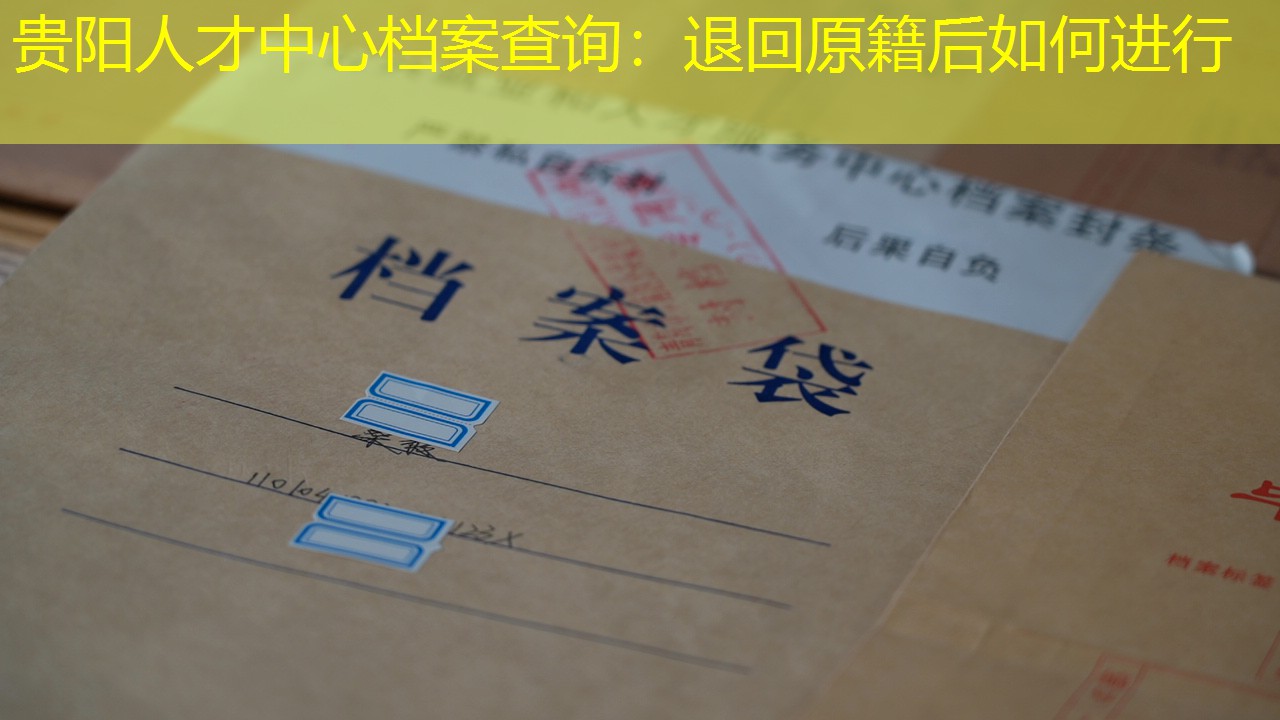 档案查询