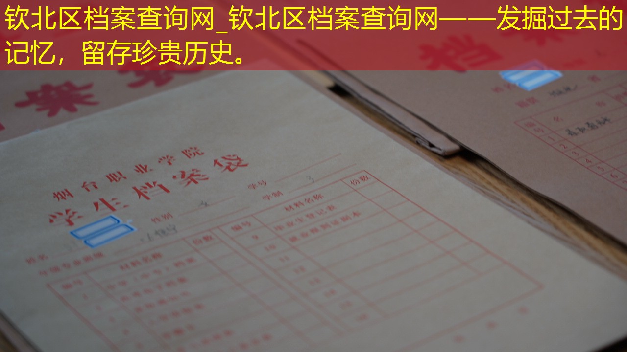 档案查询