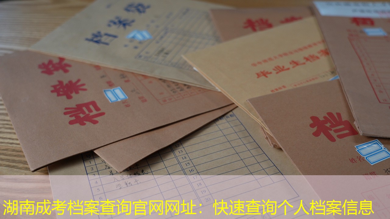 档案查询