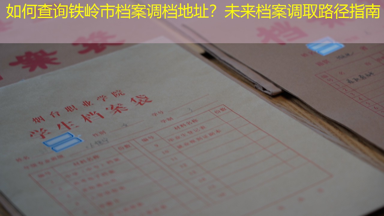档案查询