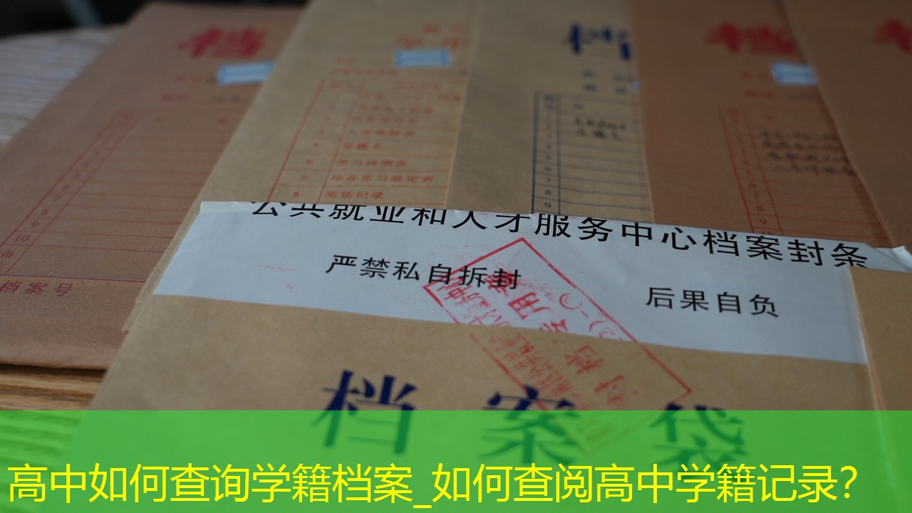 档案查询