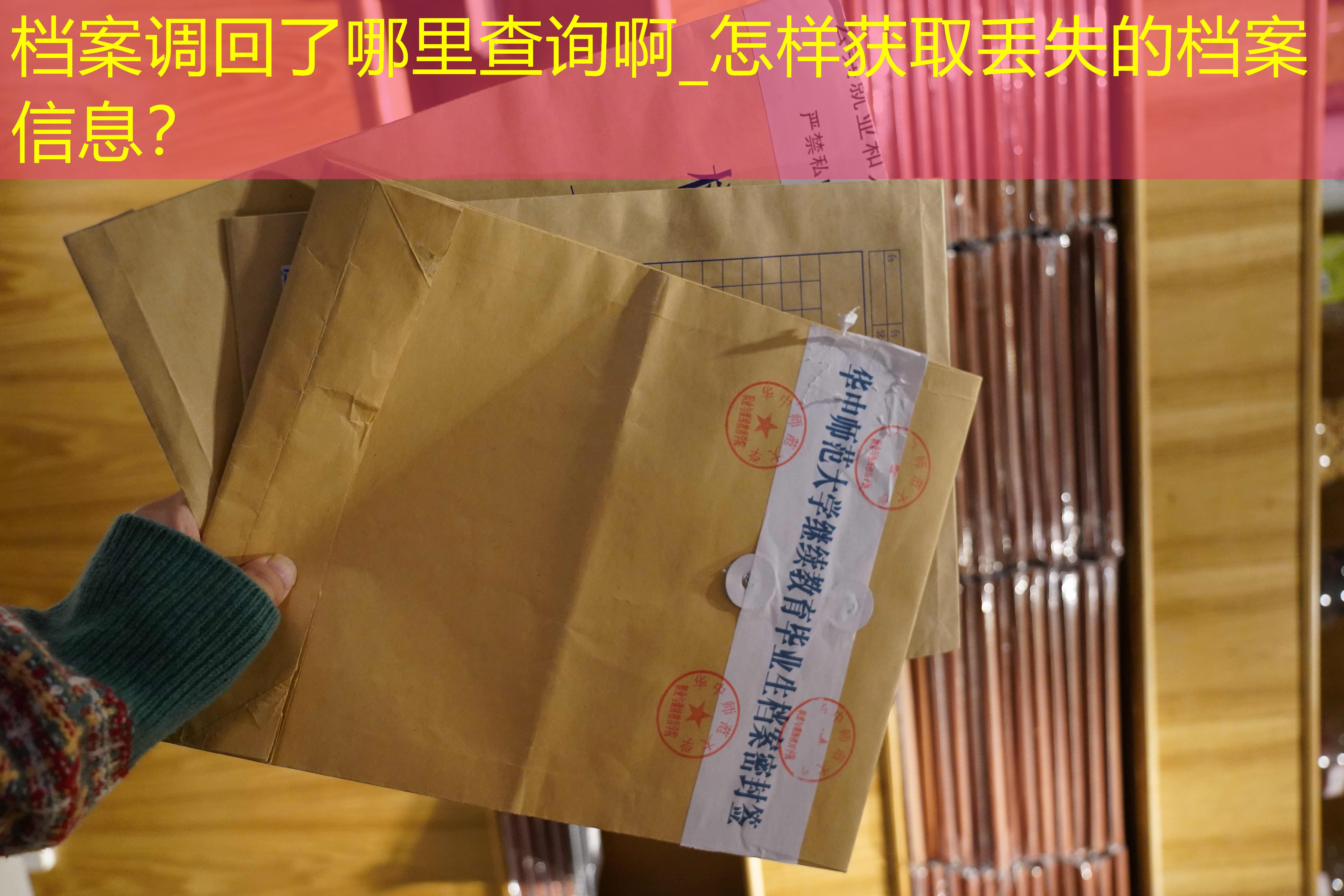 档案查询