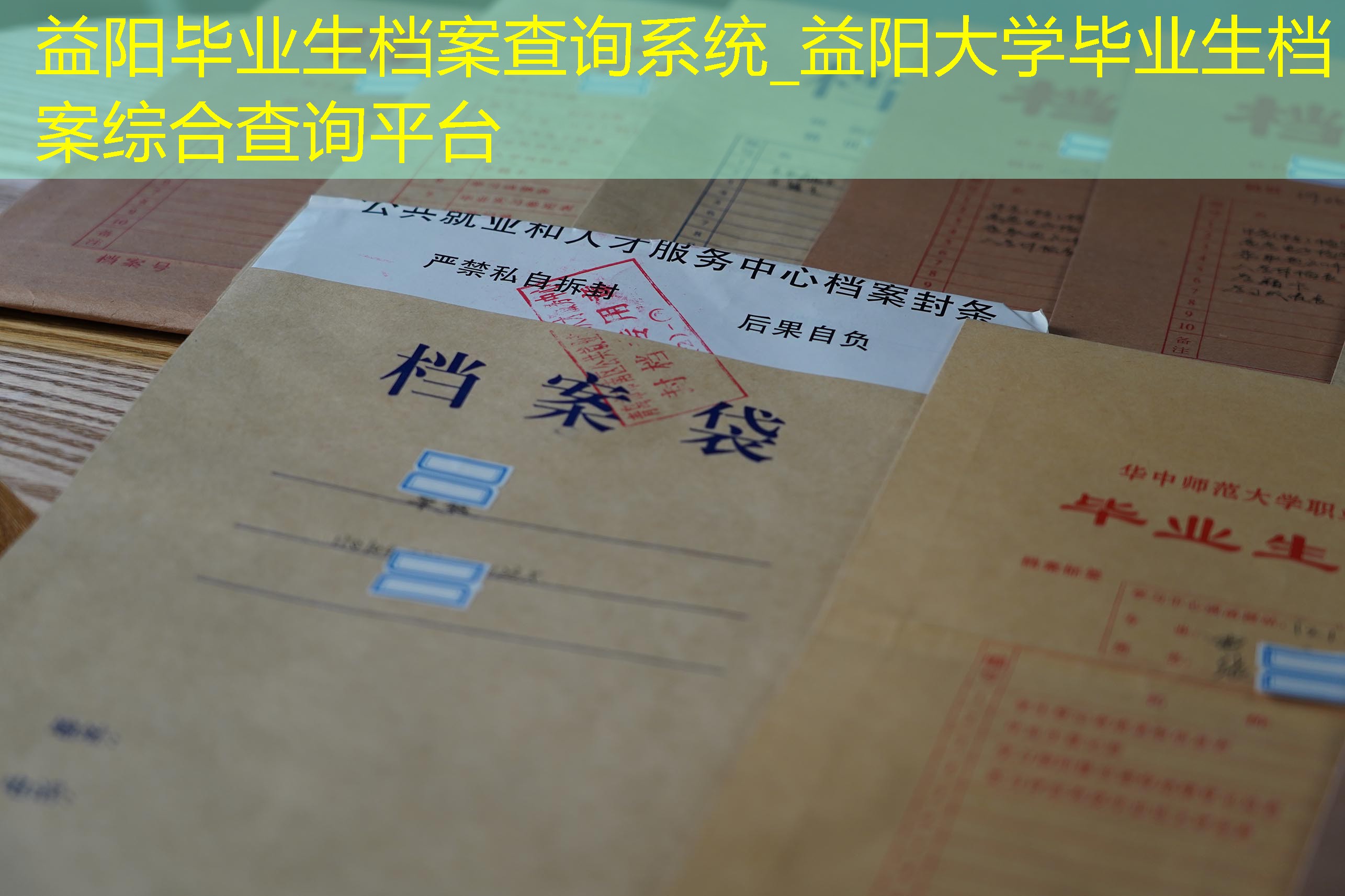 档案查询