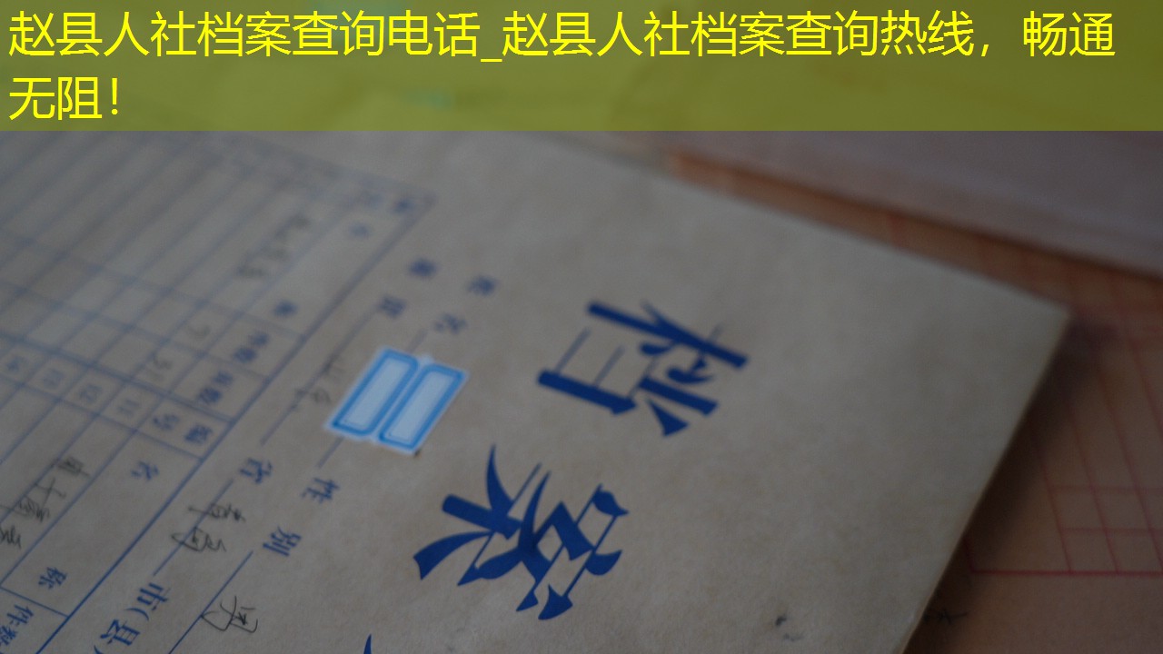 档案查询