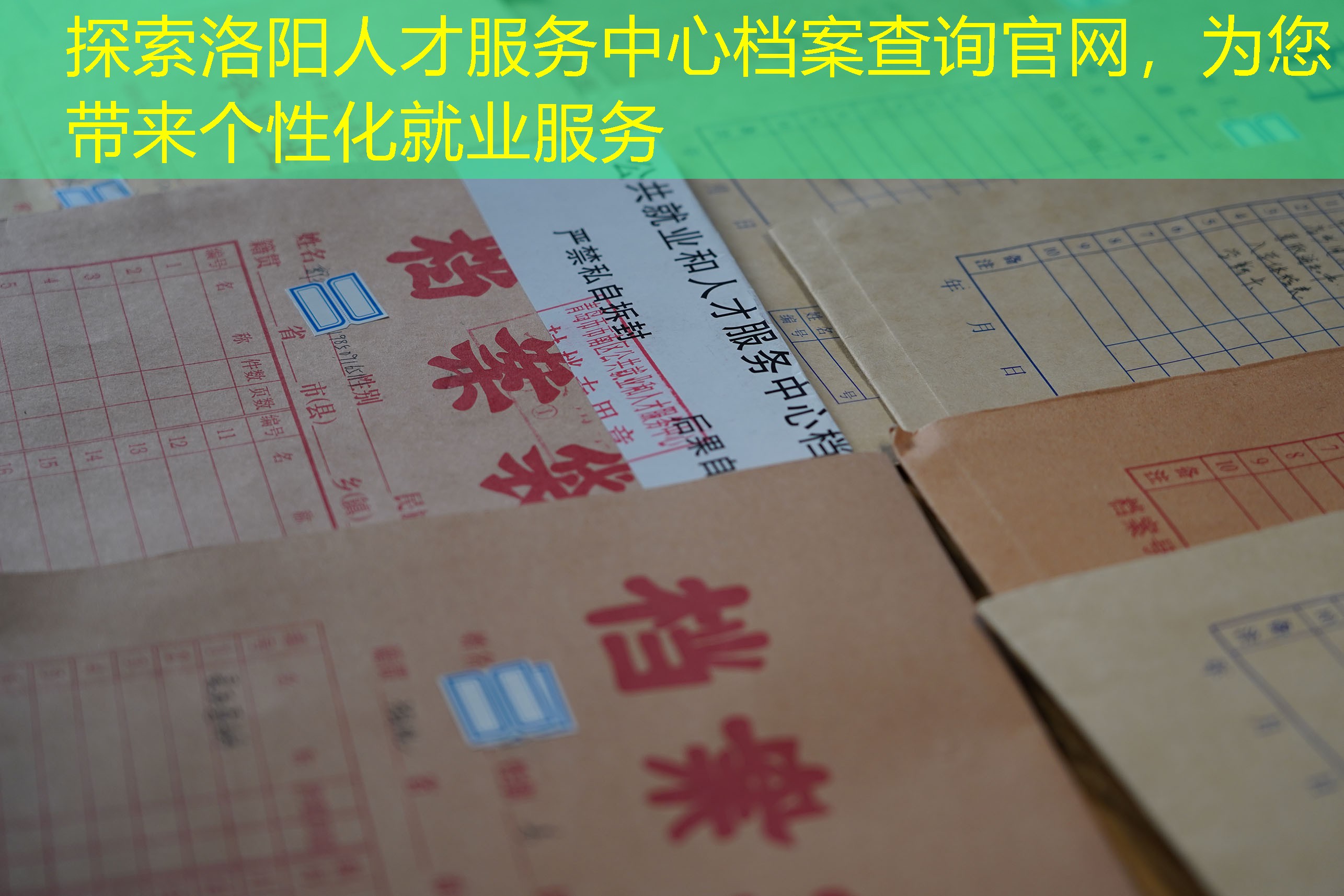 档案查询