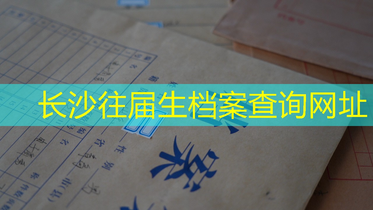 档案查询