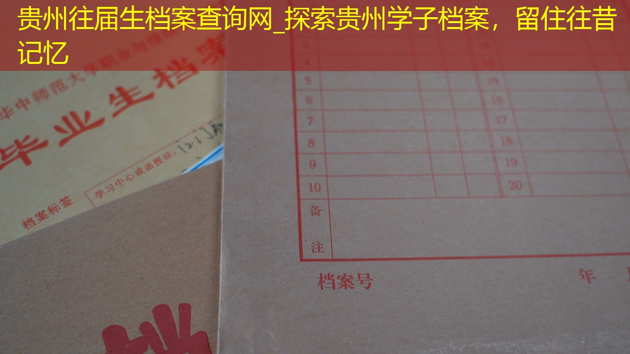 档案查询