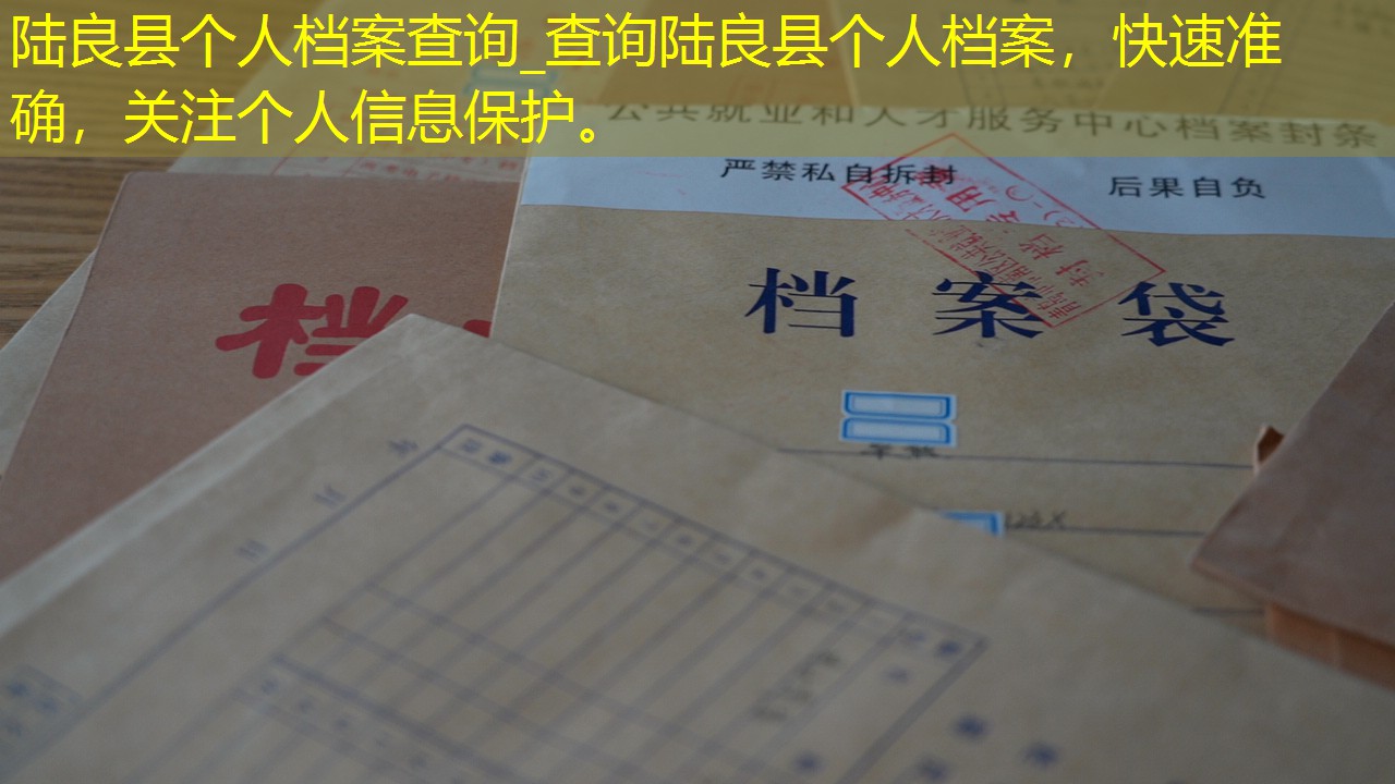 档案查询