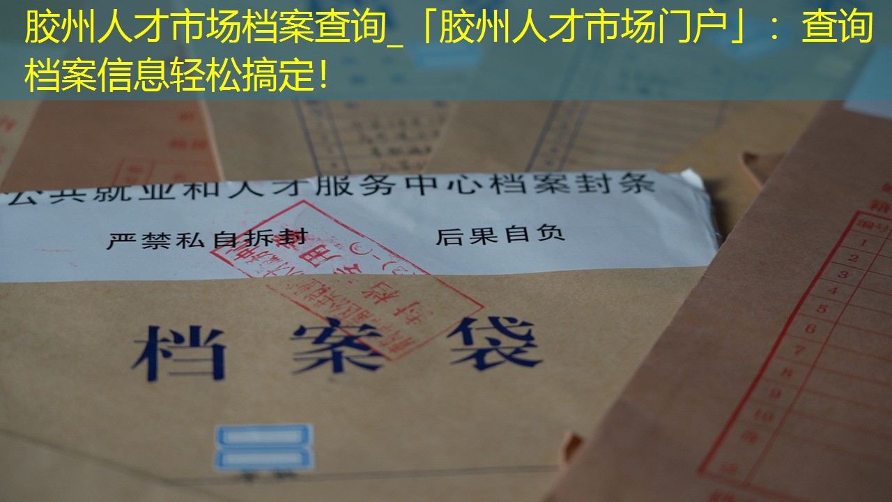 档案查询