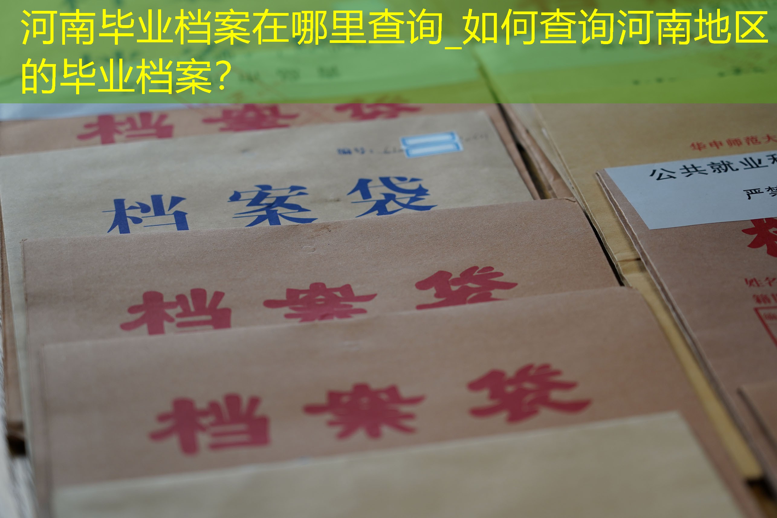 档案查询