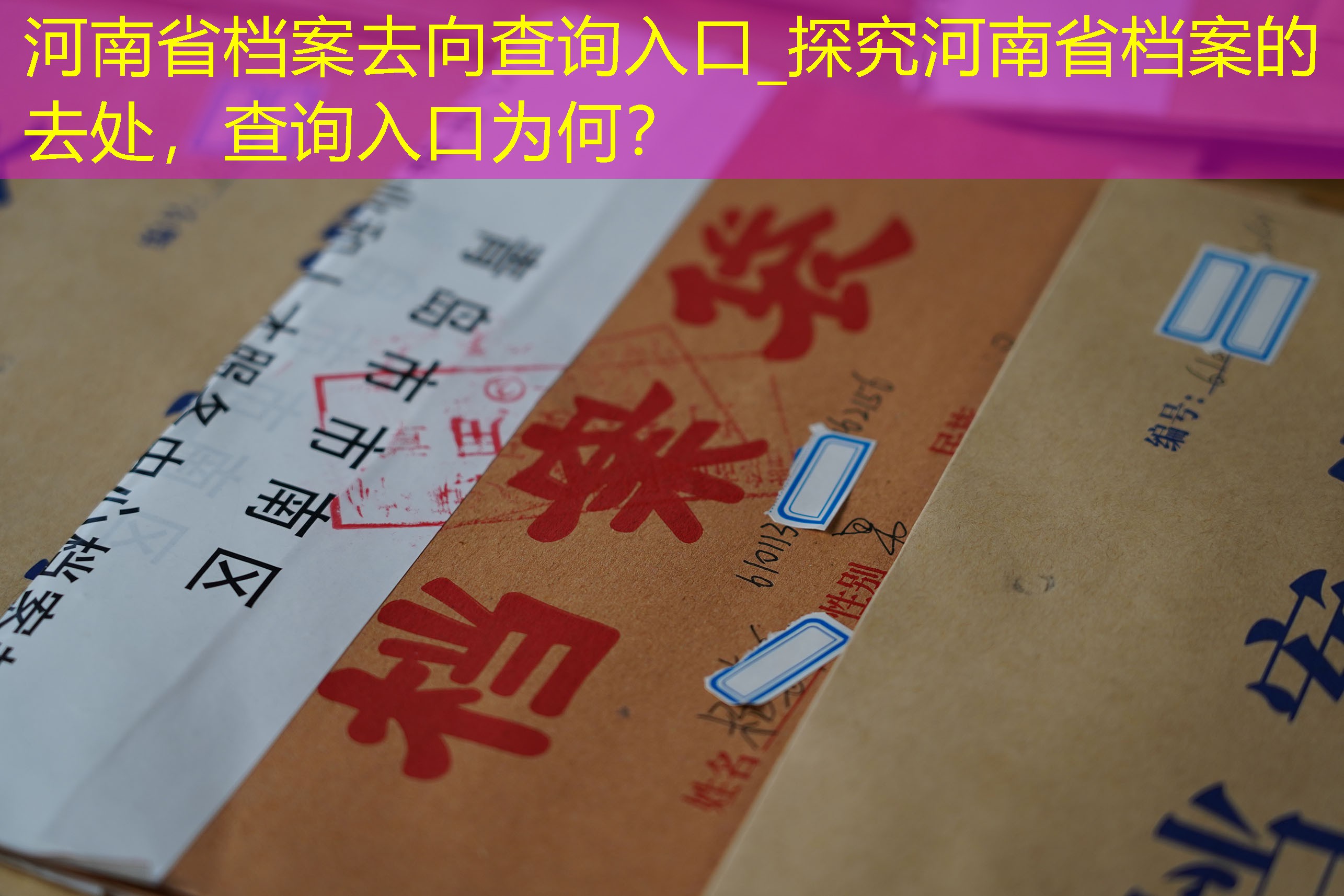 档案查询