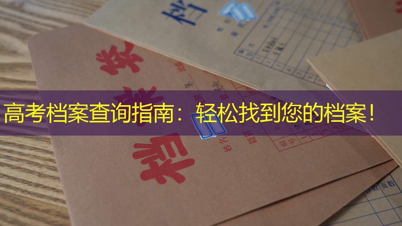 档案查询