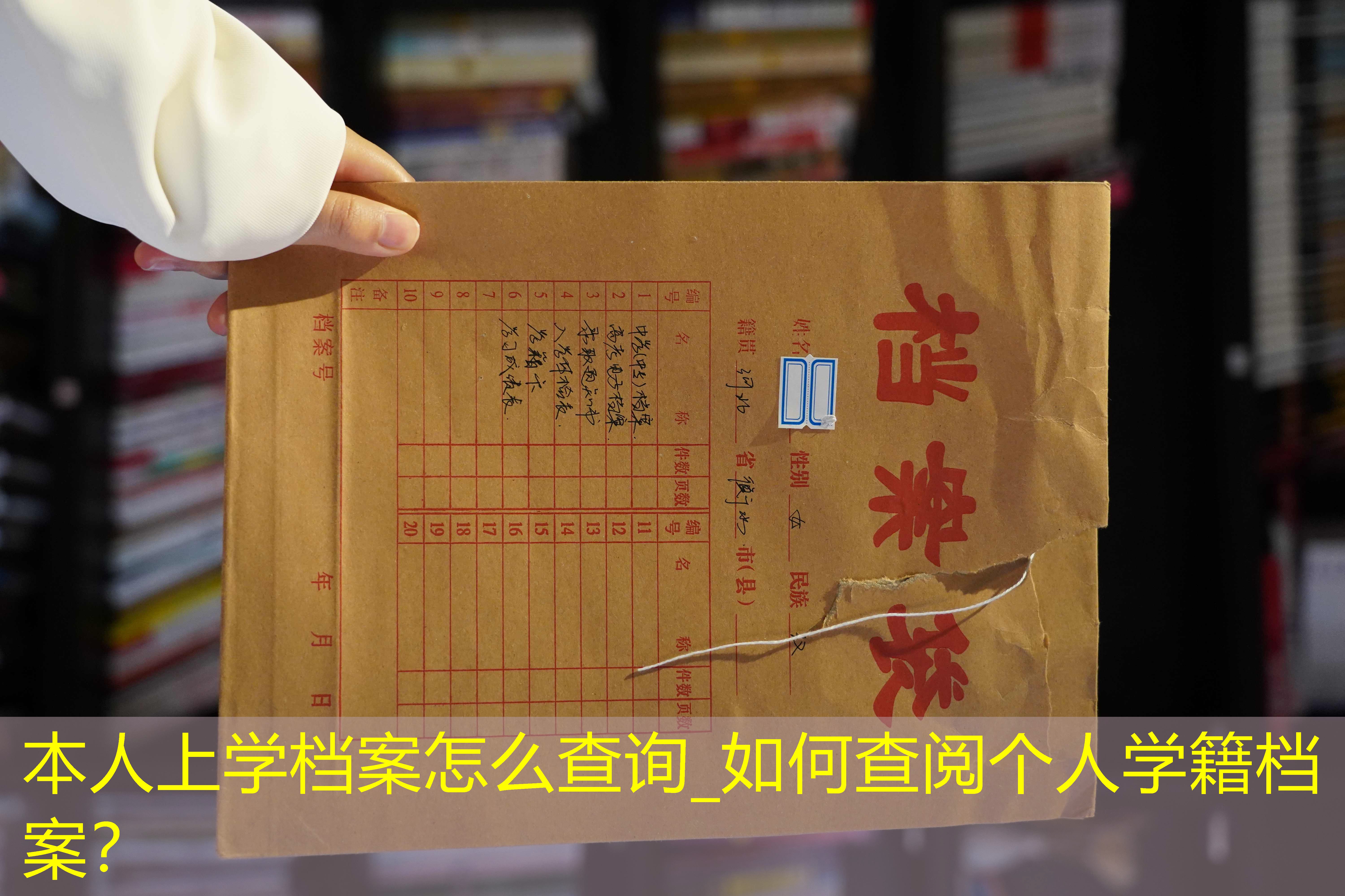 档案查询
