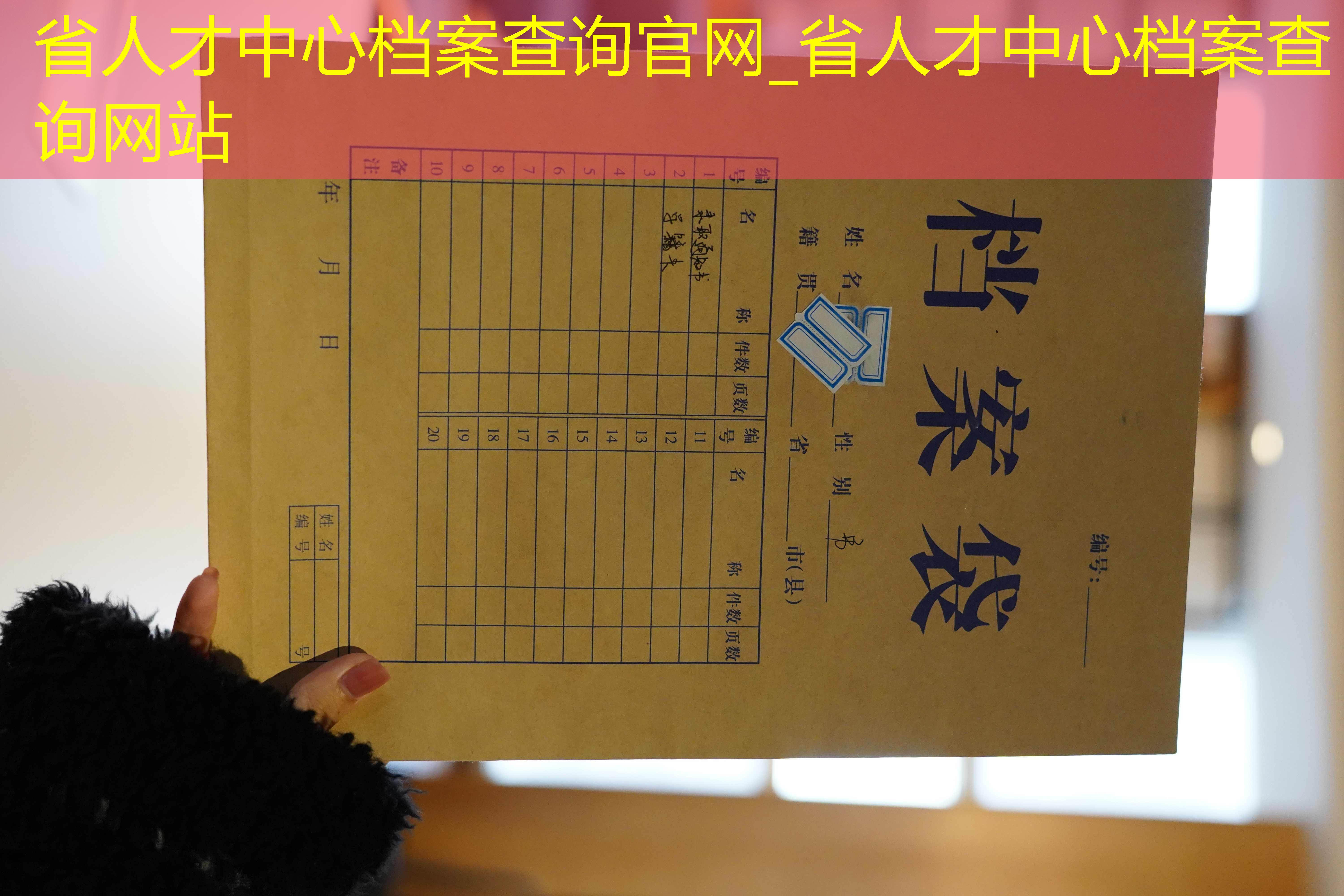 档案查询
