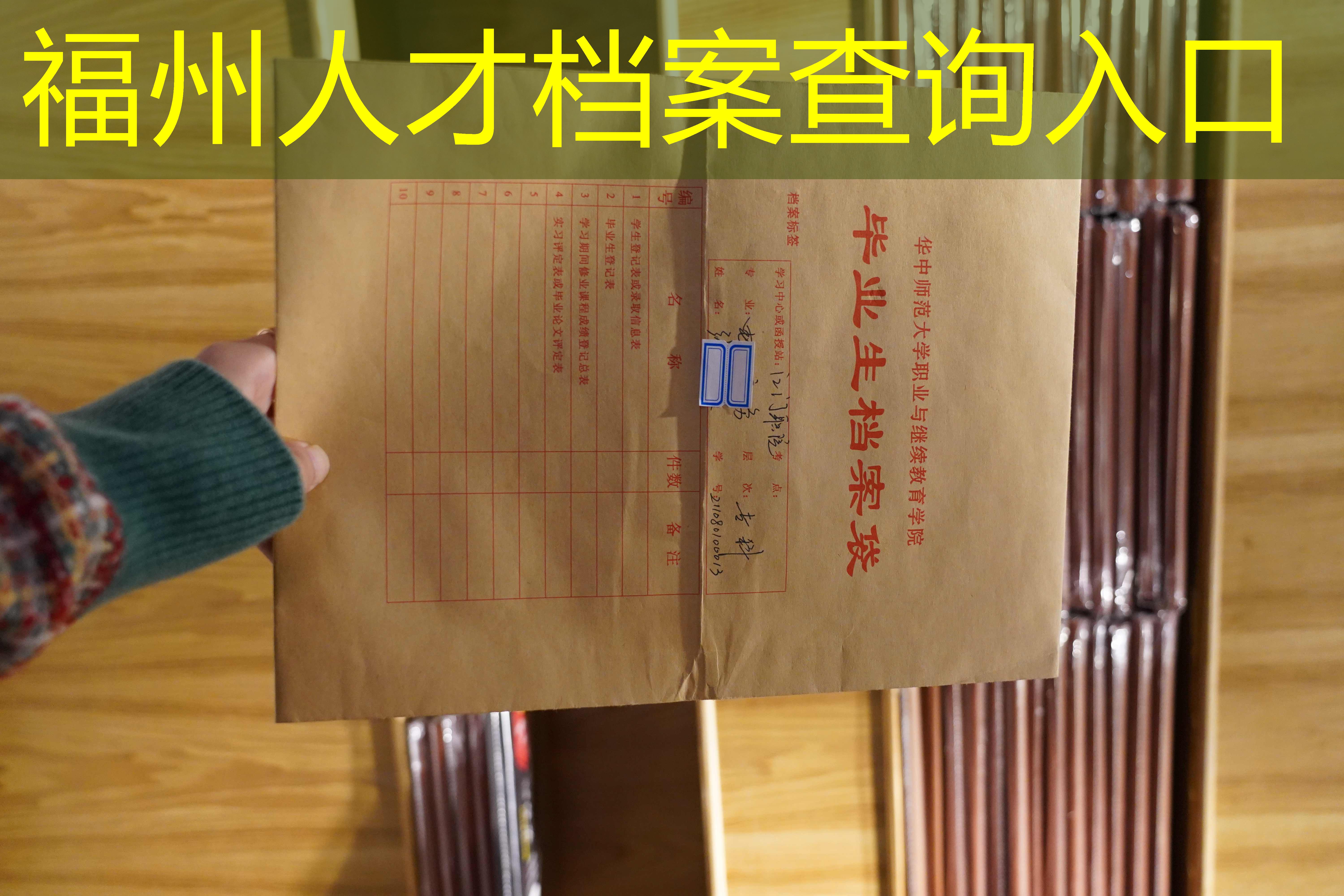 档案查询