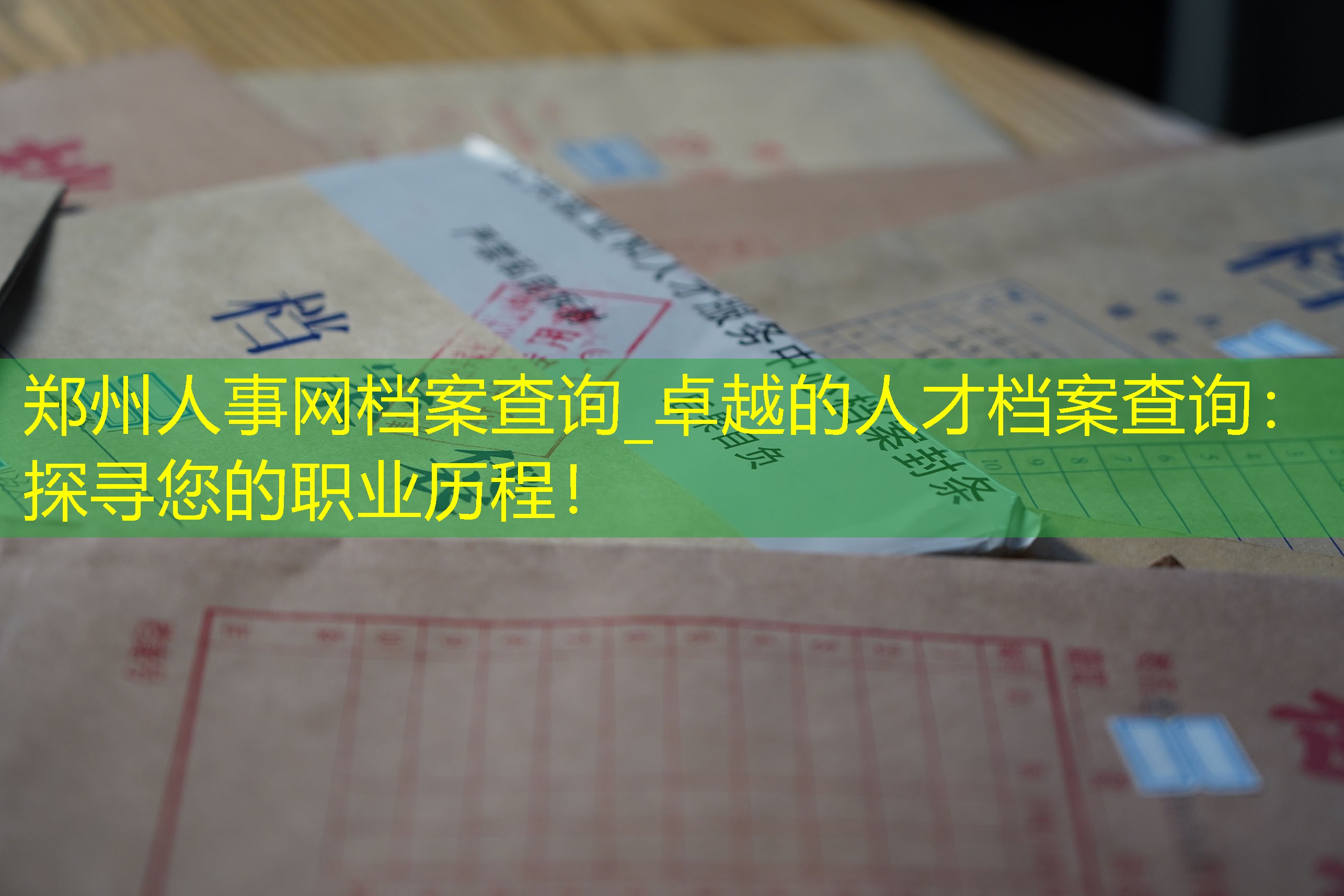 档案查询