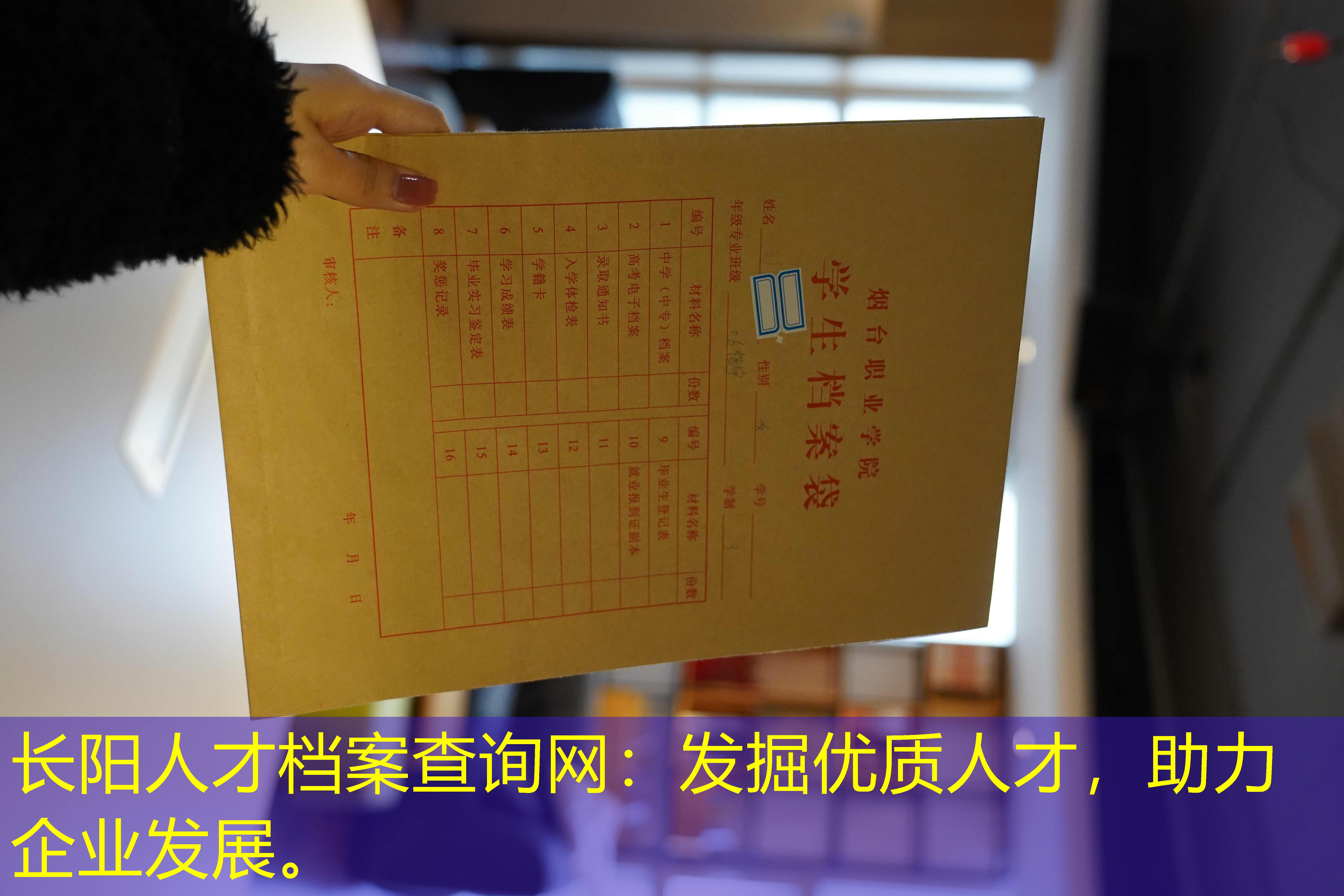 档案查询