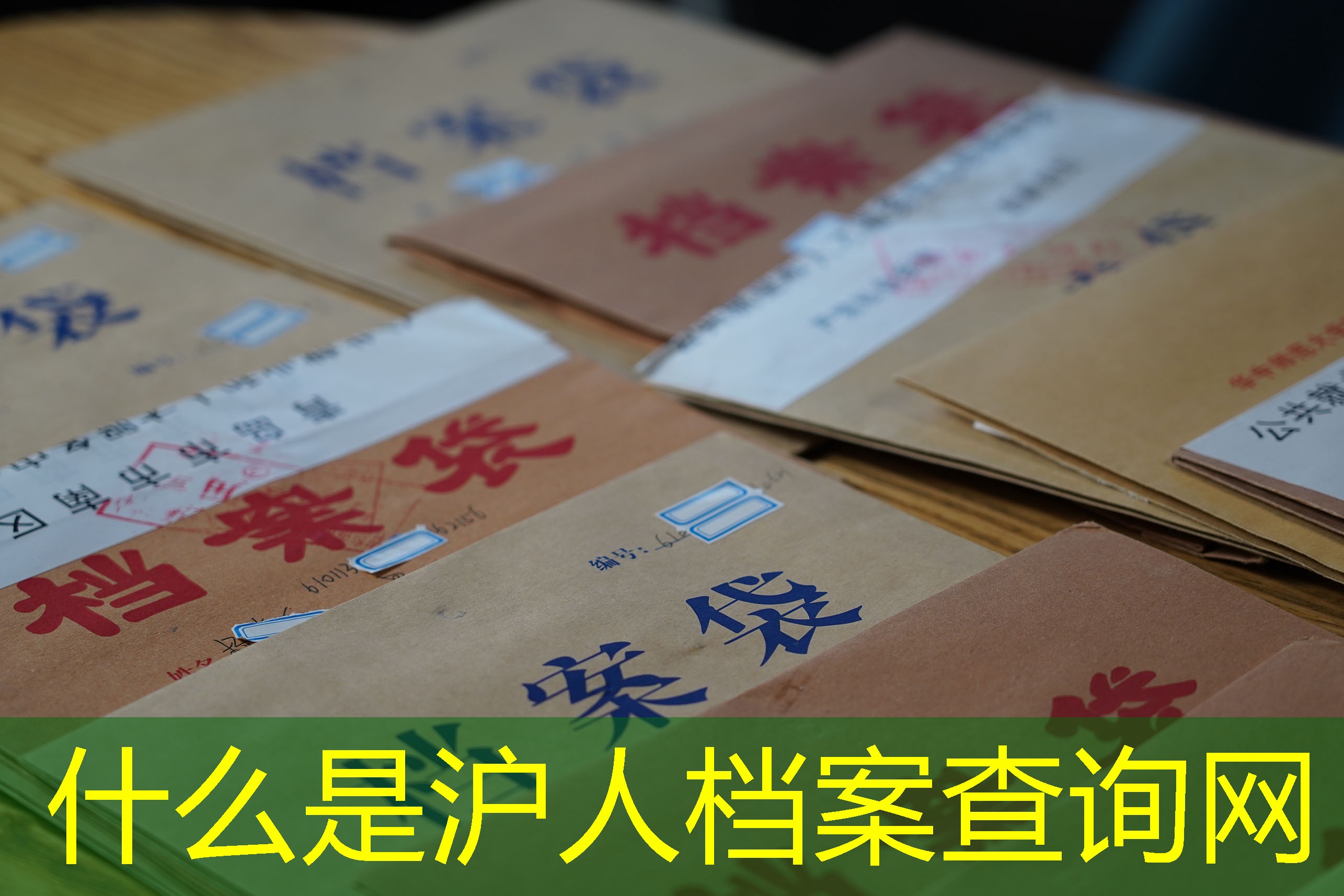 档案查询
