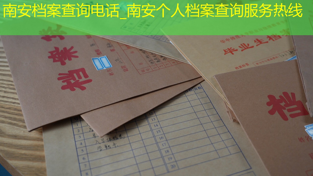 档案查询