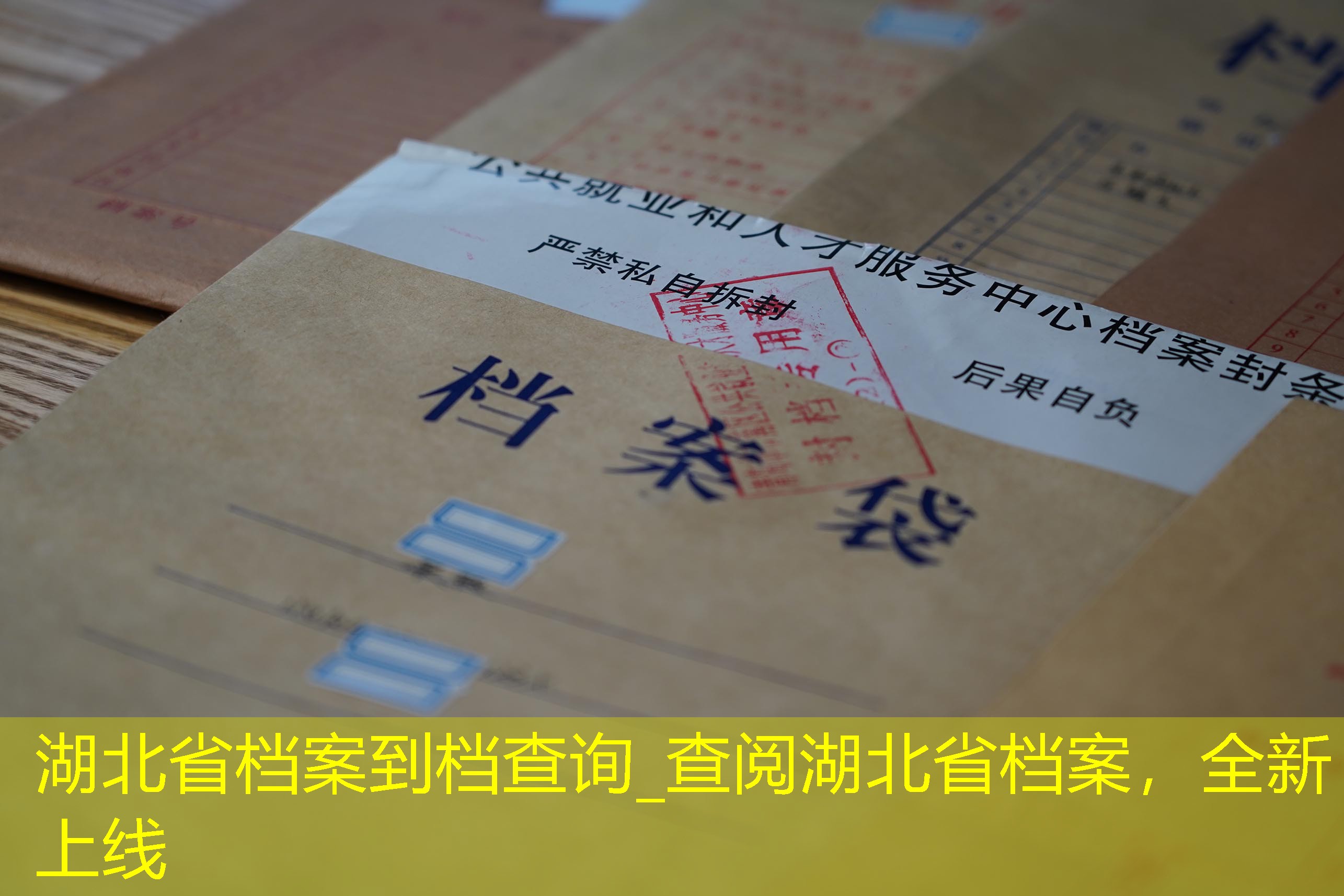 档案查询