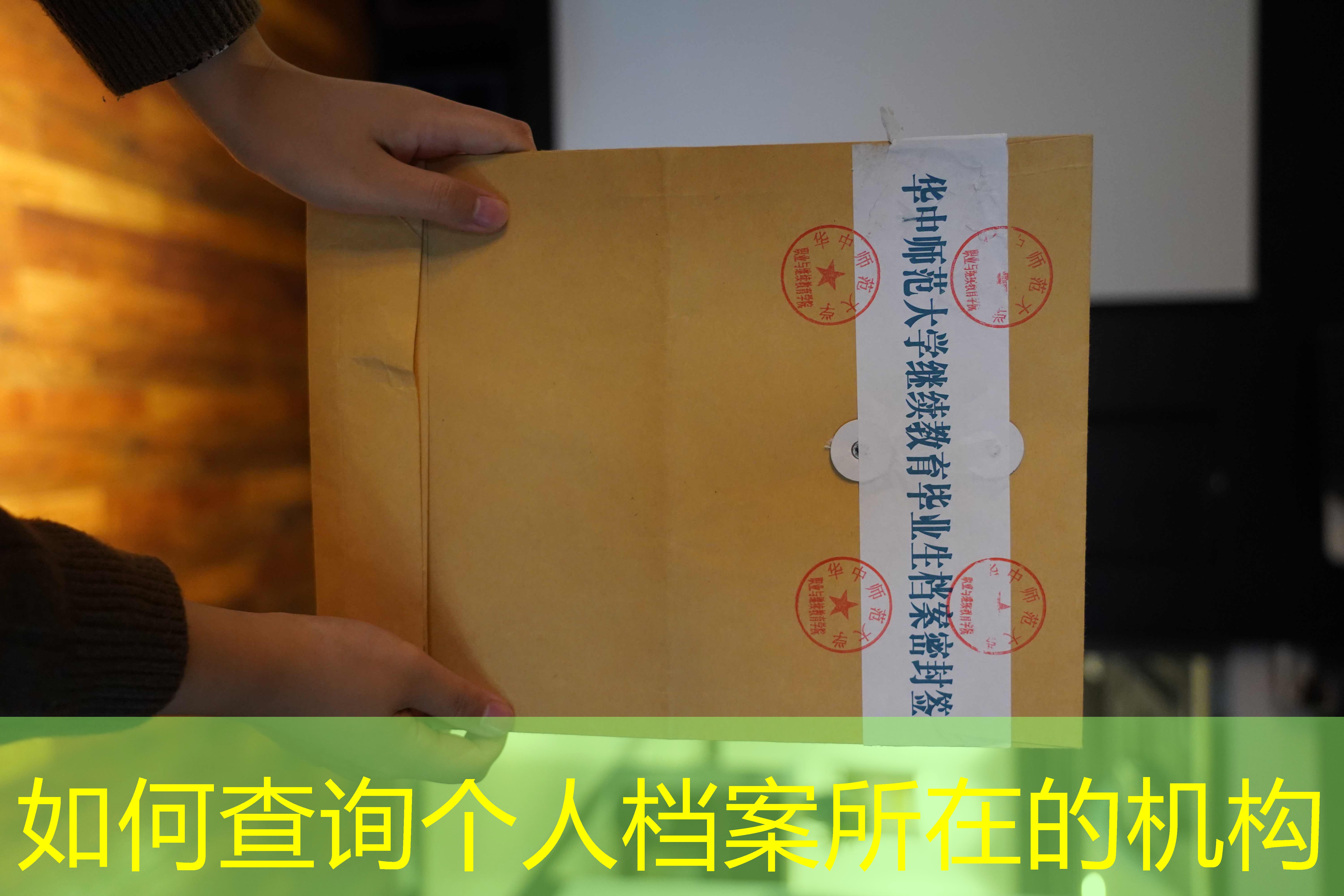 档案查询