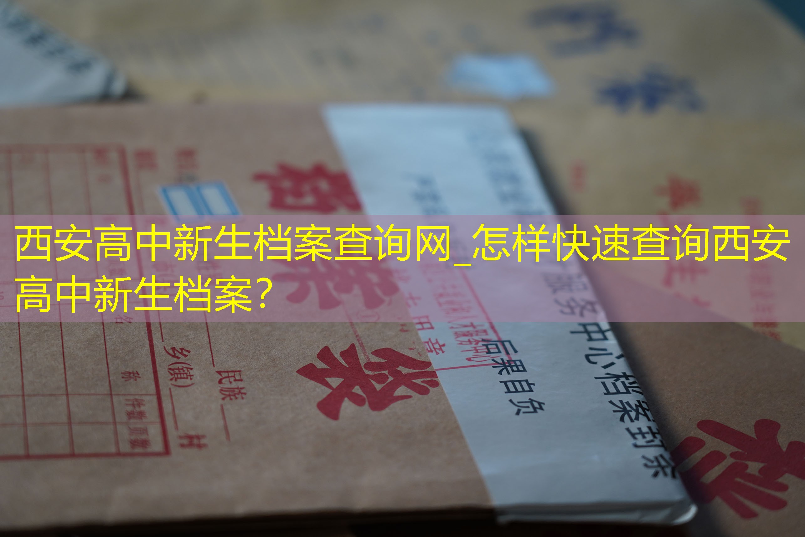 档案查询