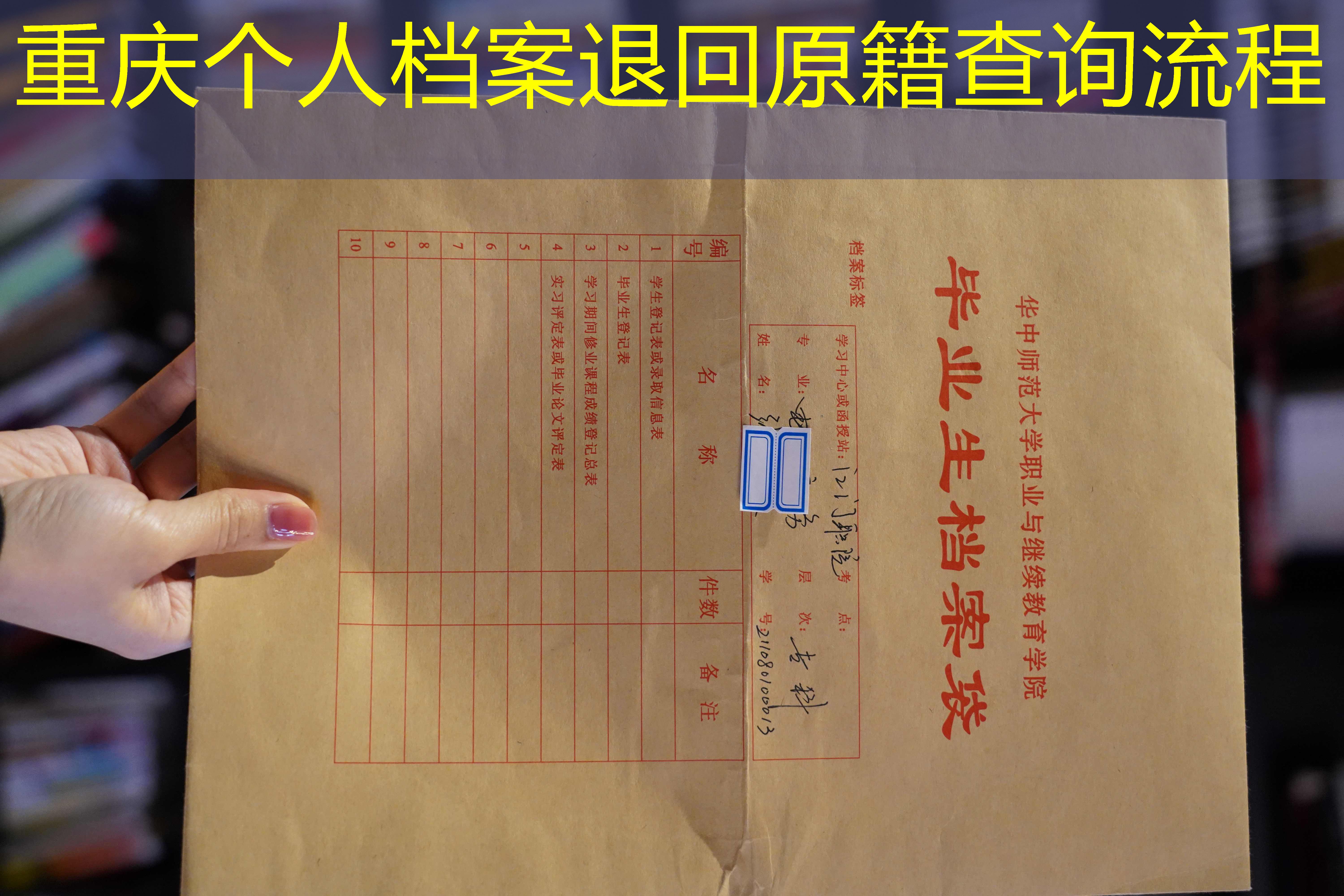 档案查询