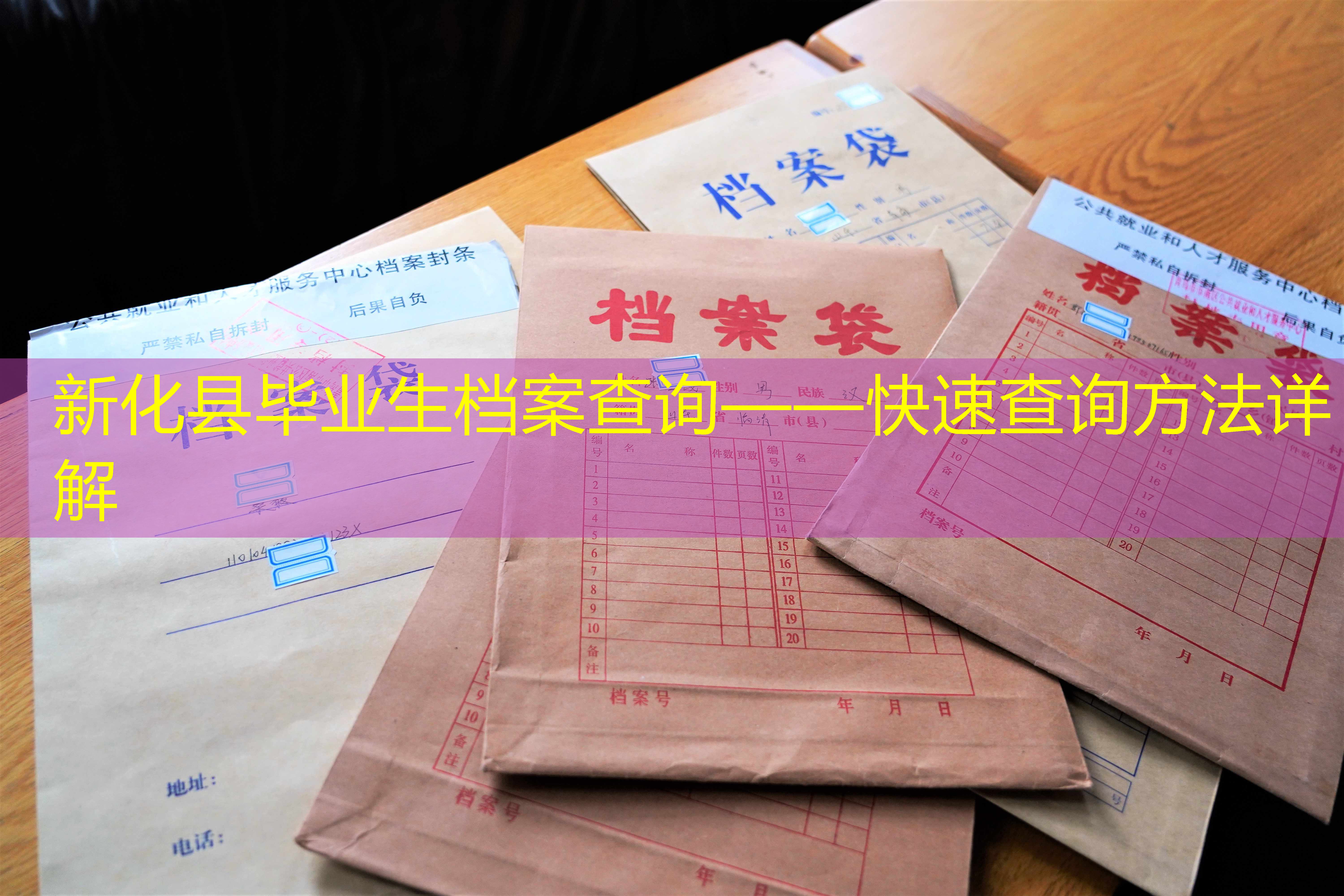 档案查询