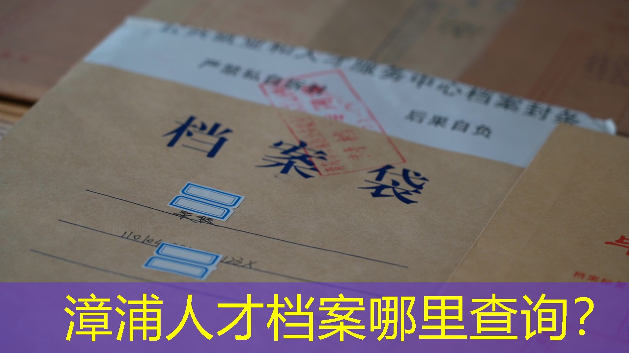 档案查询