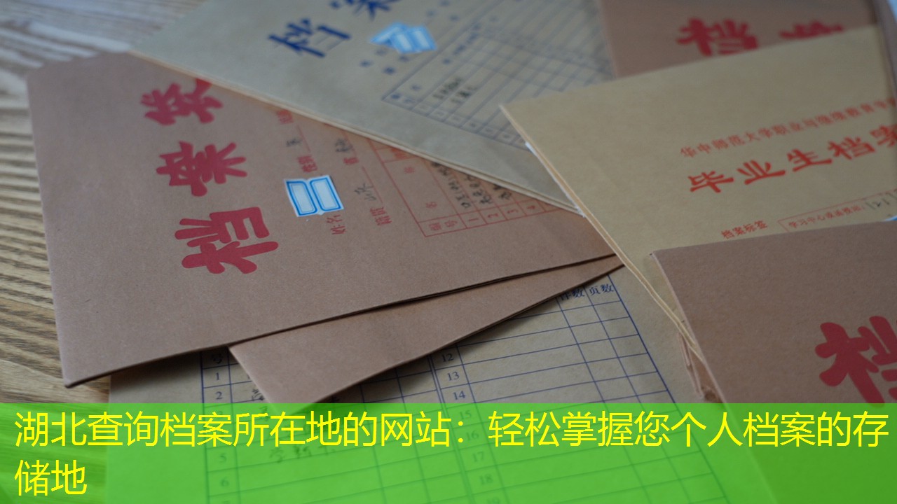档案查询