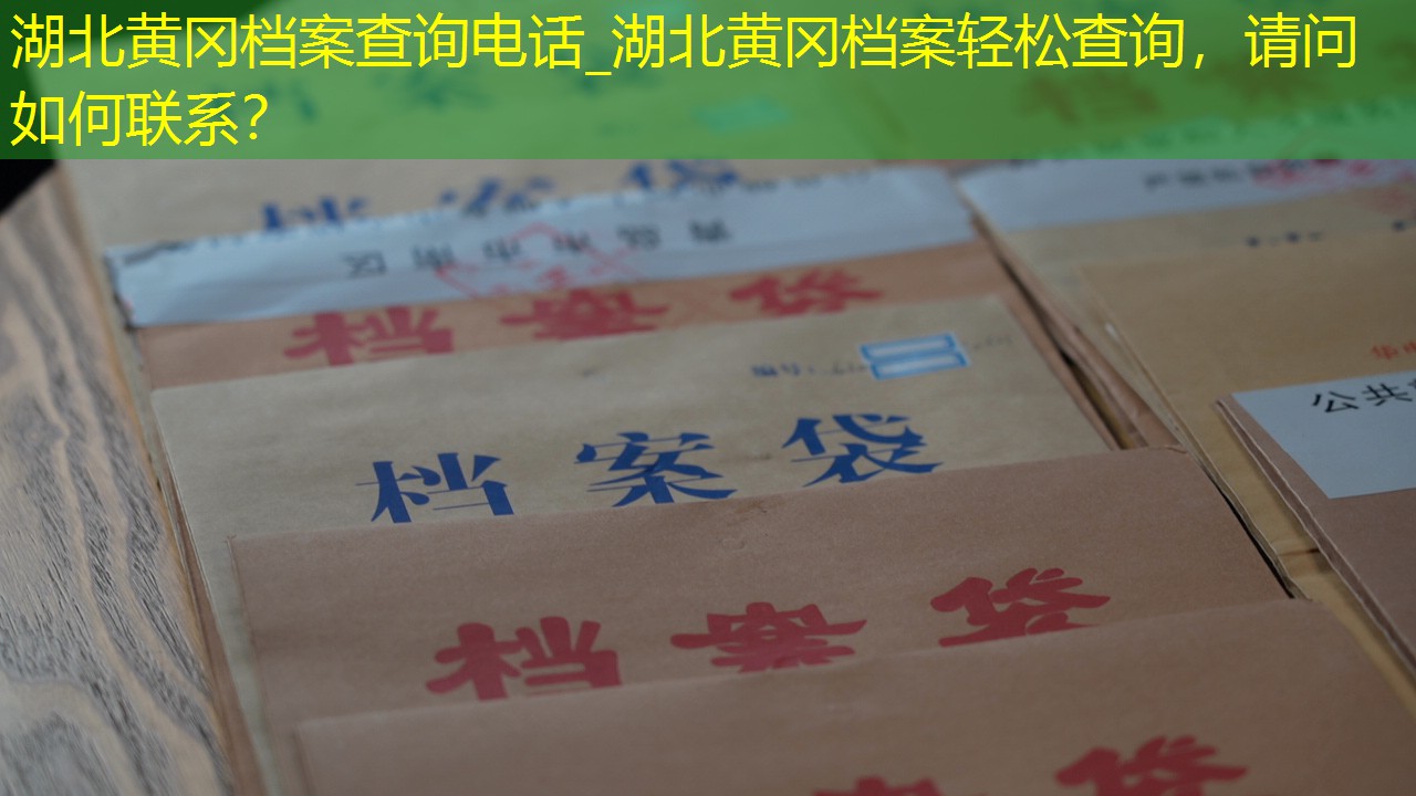 档案查询
