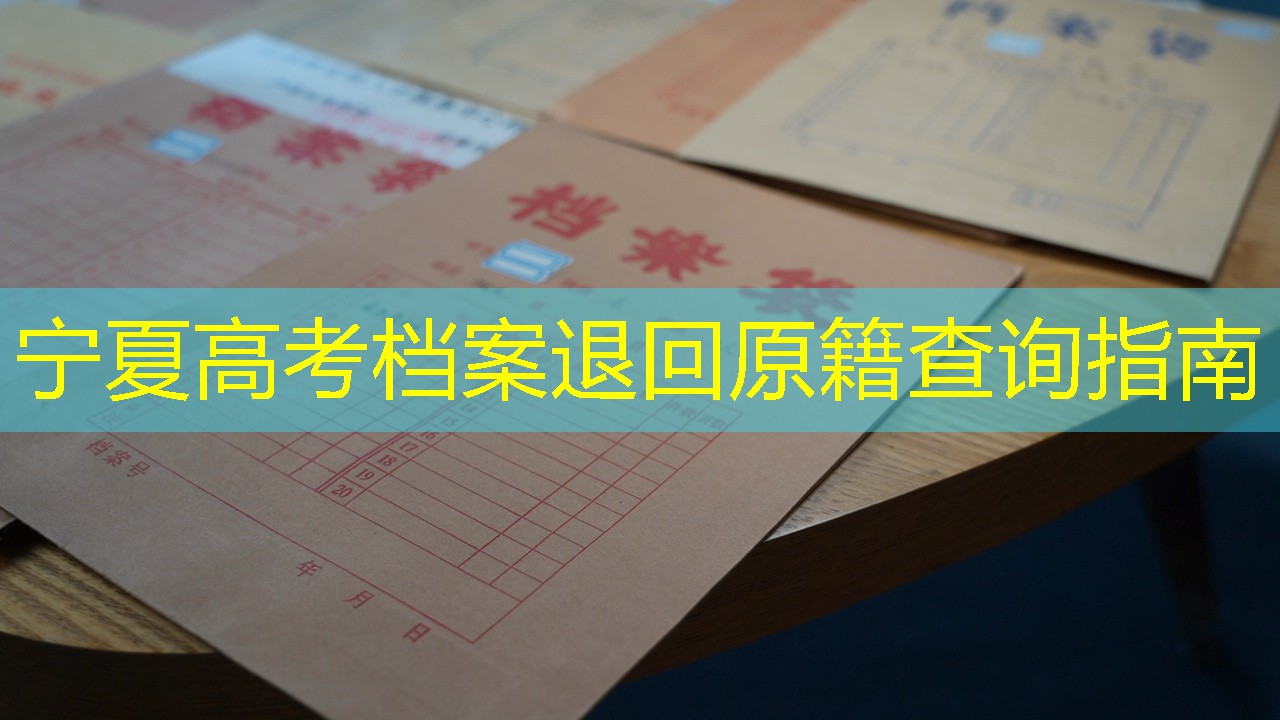 档案查询