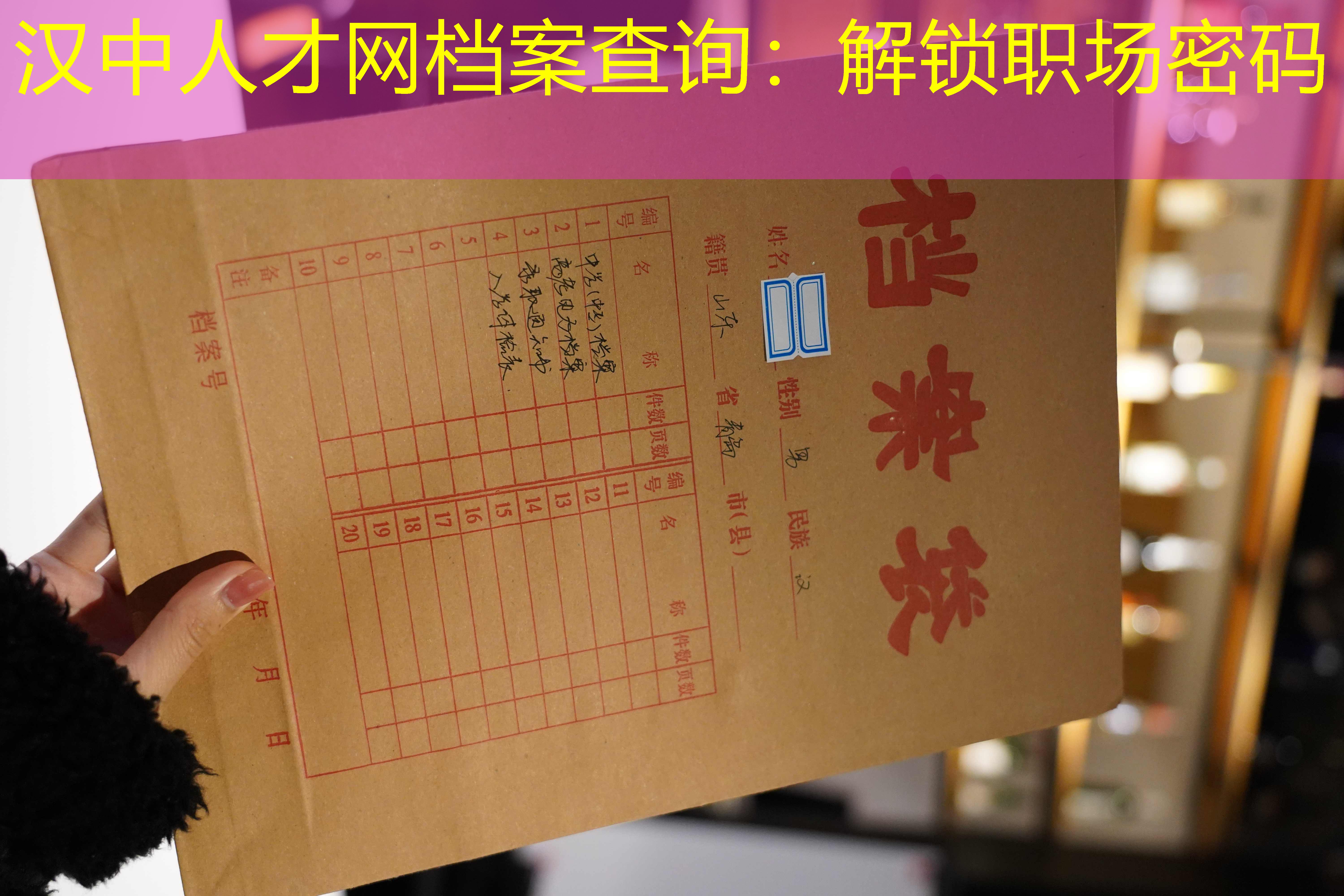 档案查询
