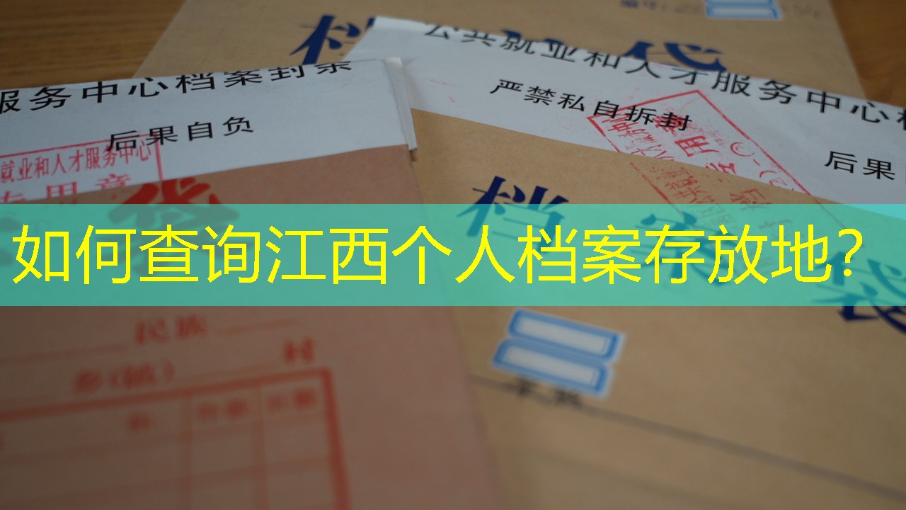 档案查询