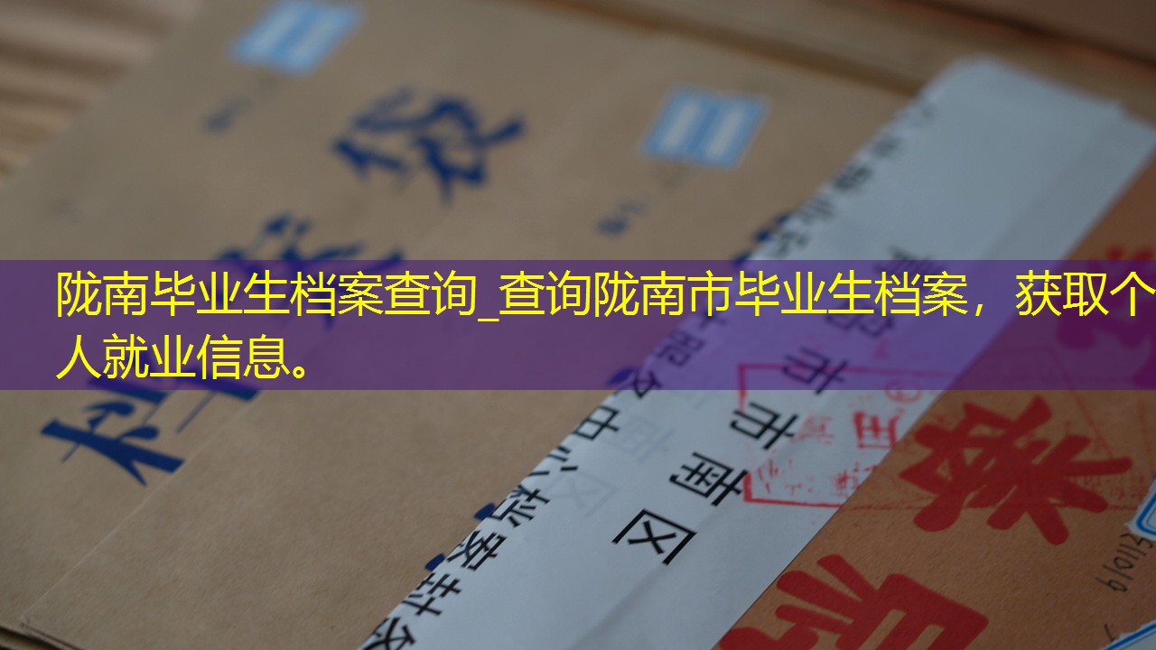 档案查询