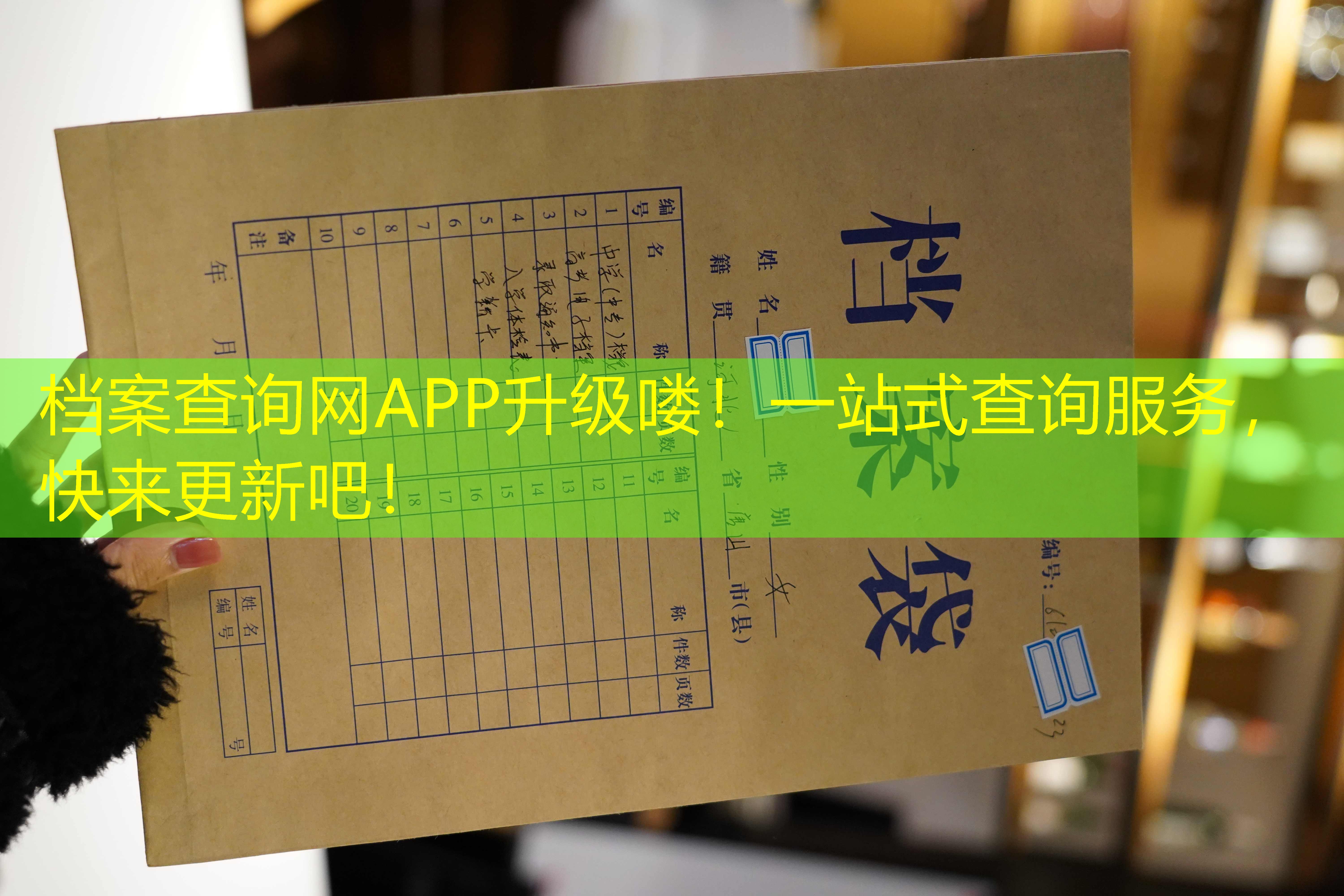 档案查询
