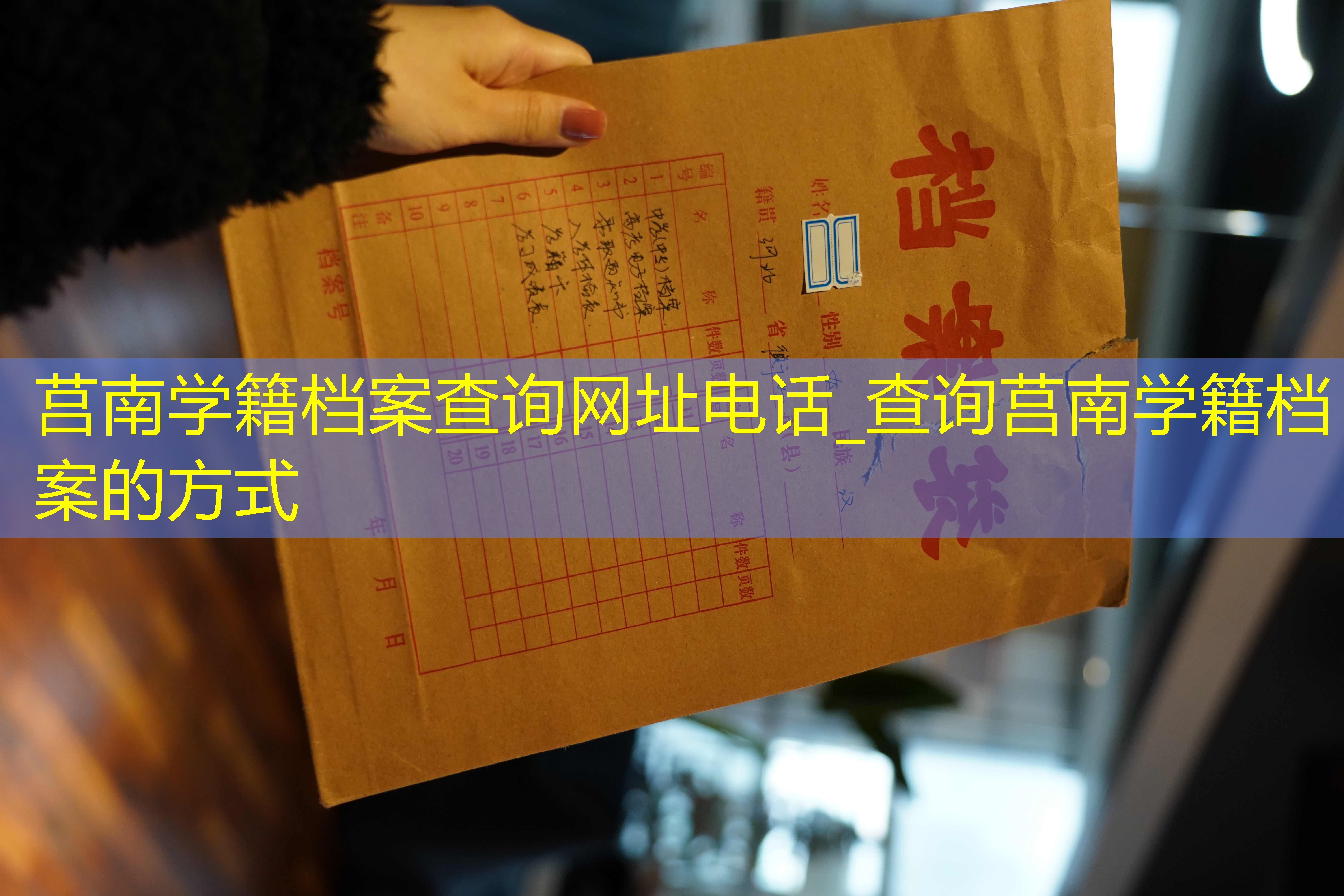 档案查询