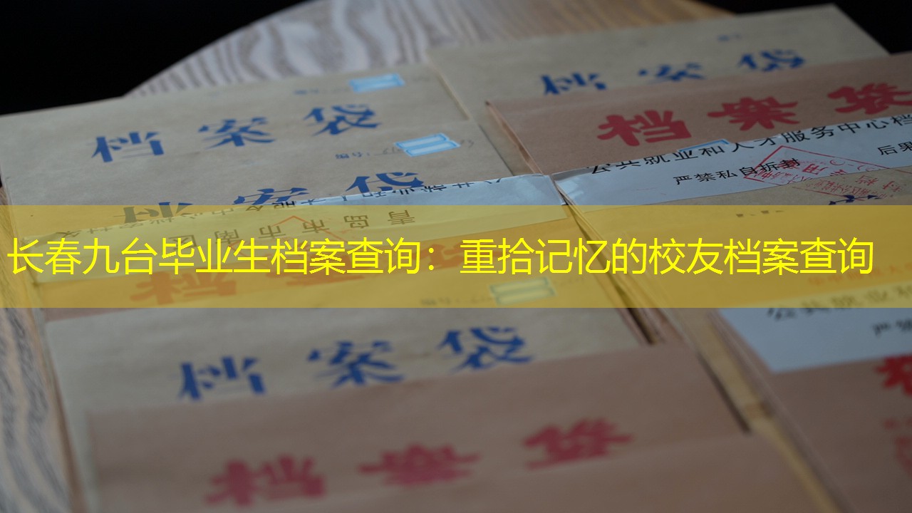 档案查询