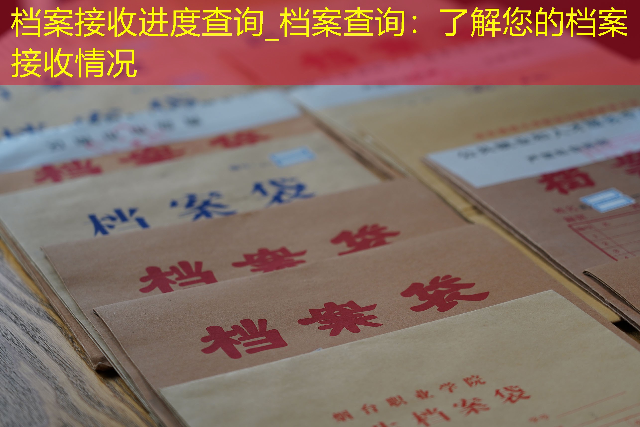 档案查询