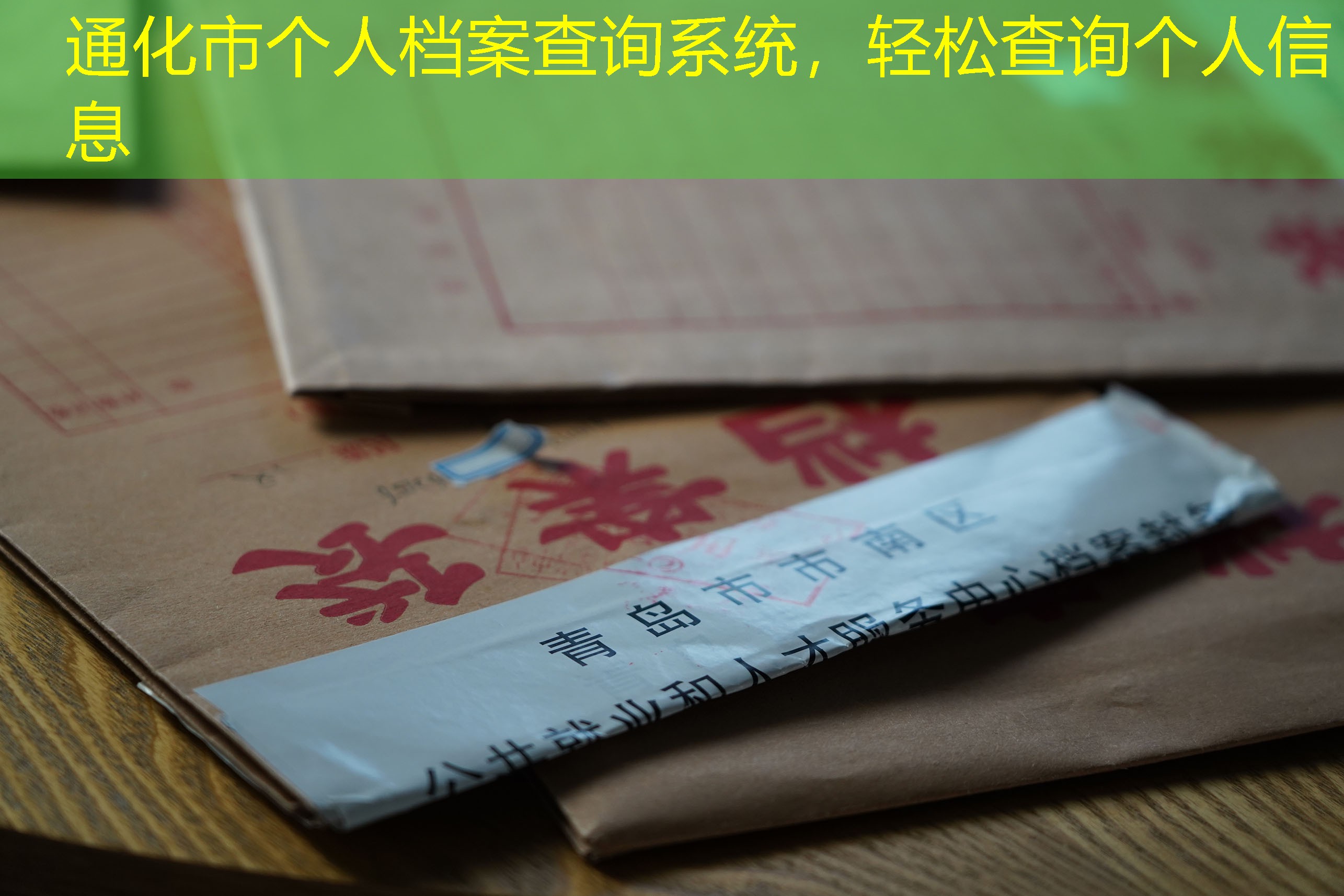 档案查询