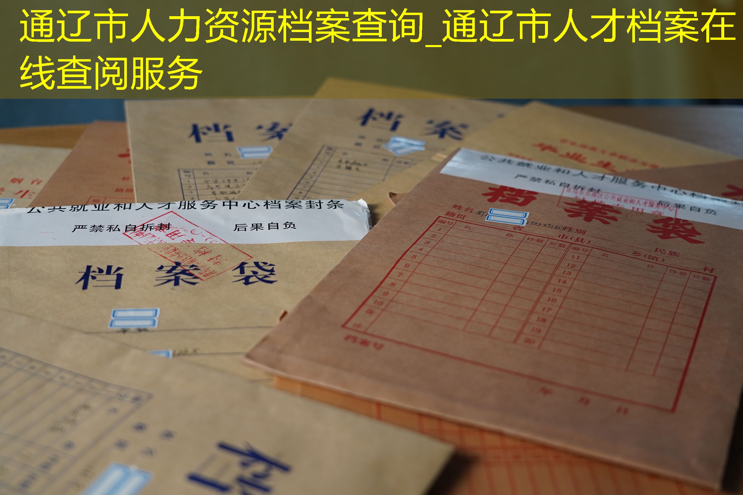 档案查询