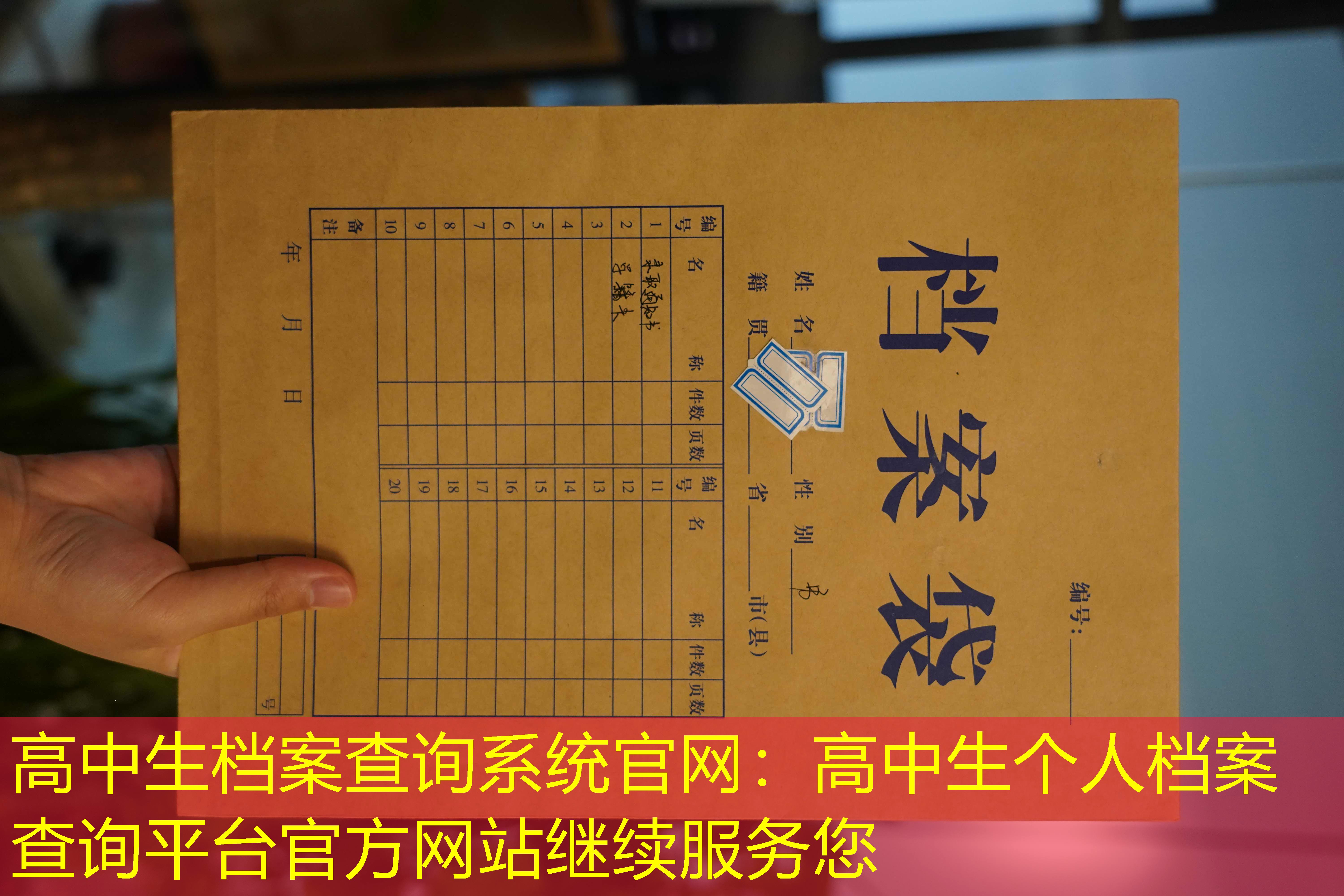 档案查询