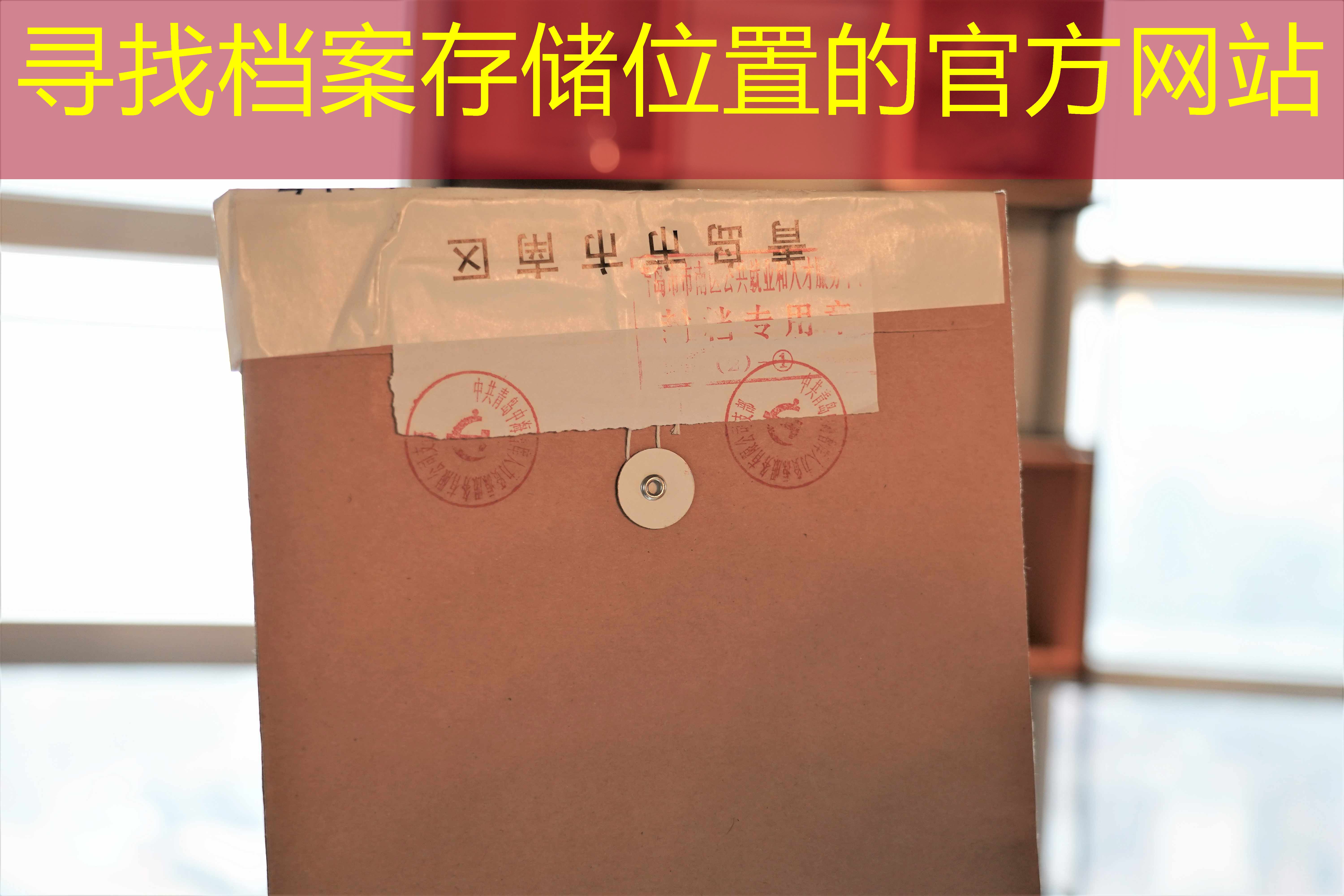 档案查询