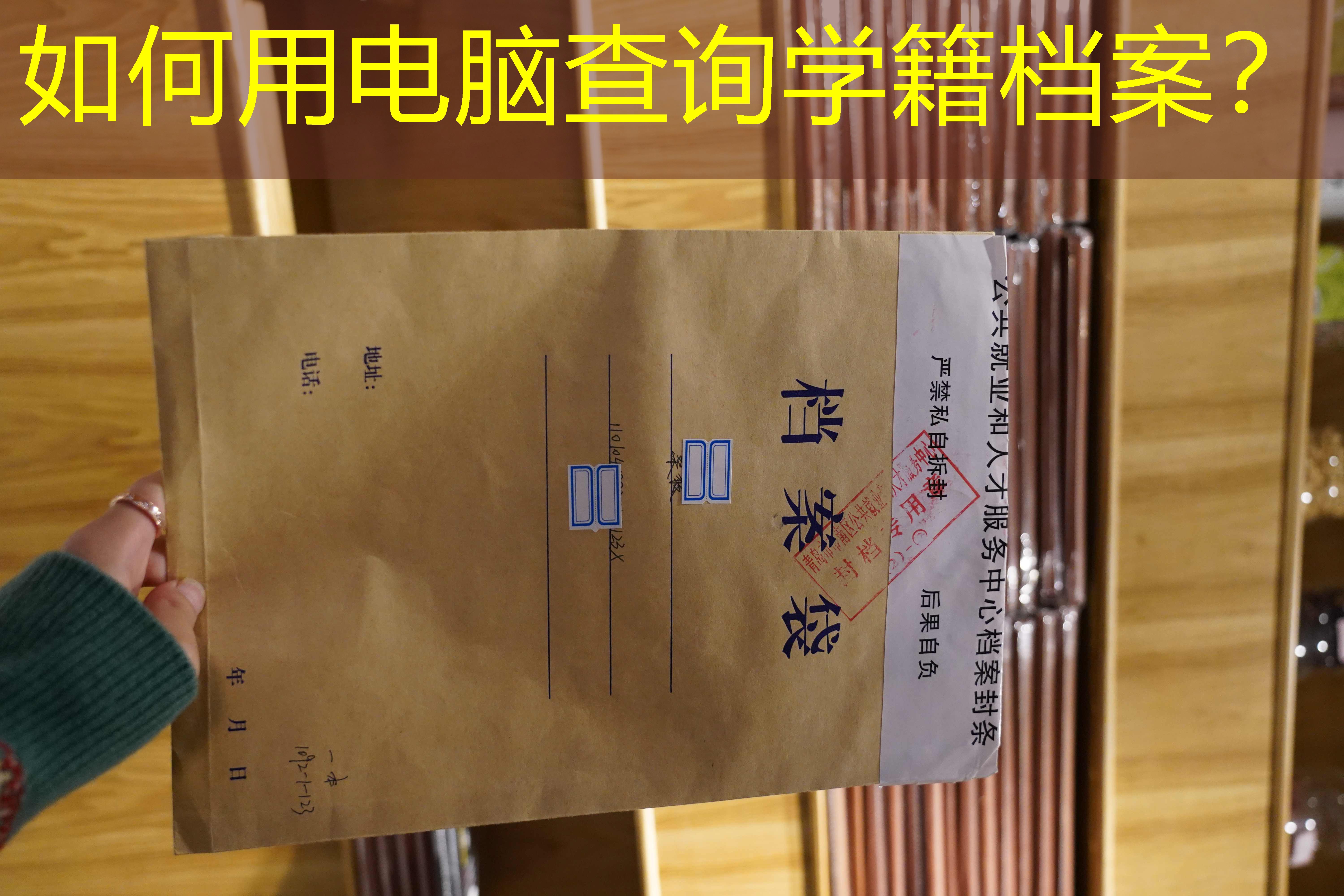 档案查询