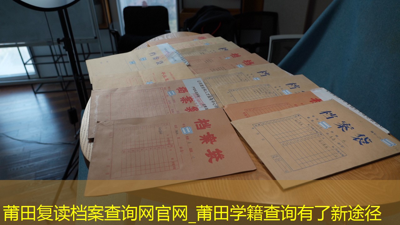 档案查询
